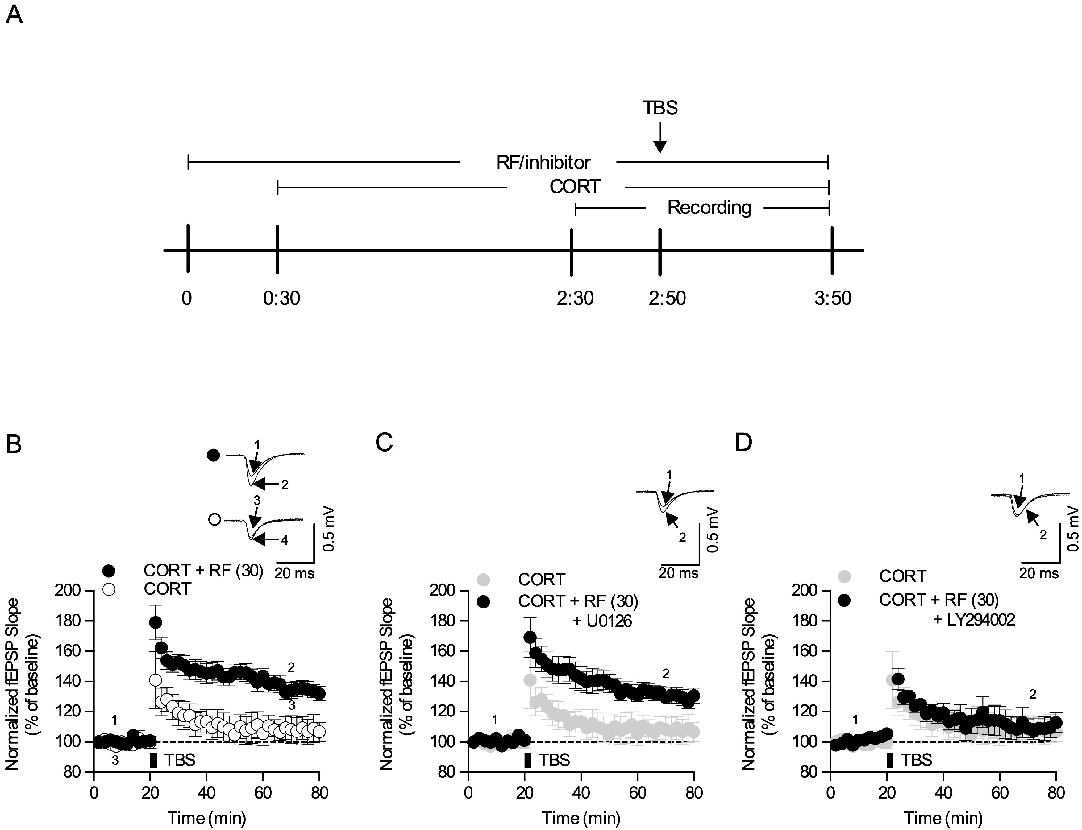 Ijms 21 03454 g007 Ijms 21 03454 g007