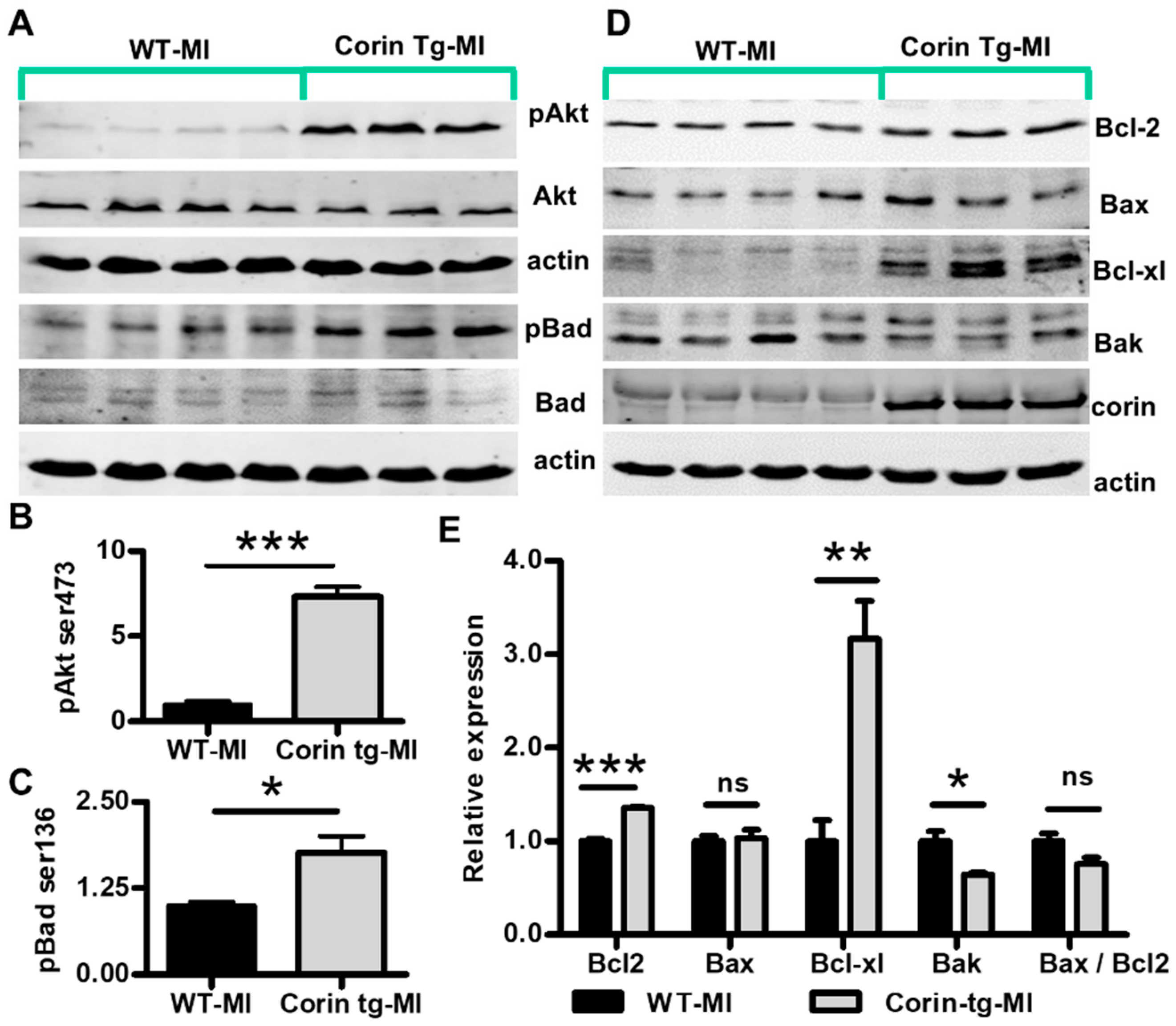 Ijms 21 03456 g004 Ijms 21 03456 g004