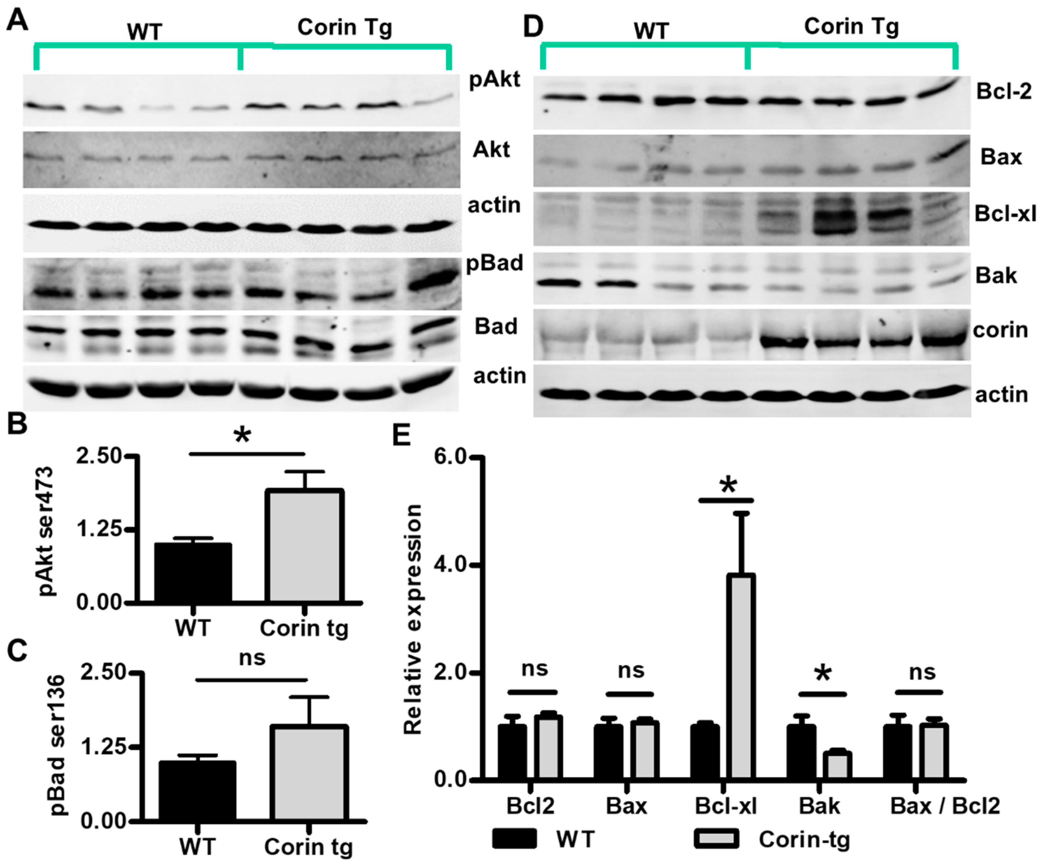 Ijms 21 03456 g005 Ijms 21 03456 g005