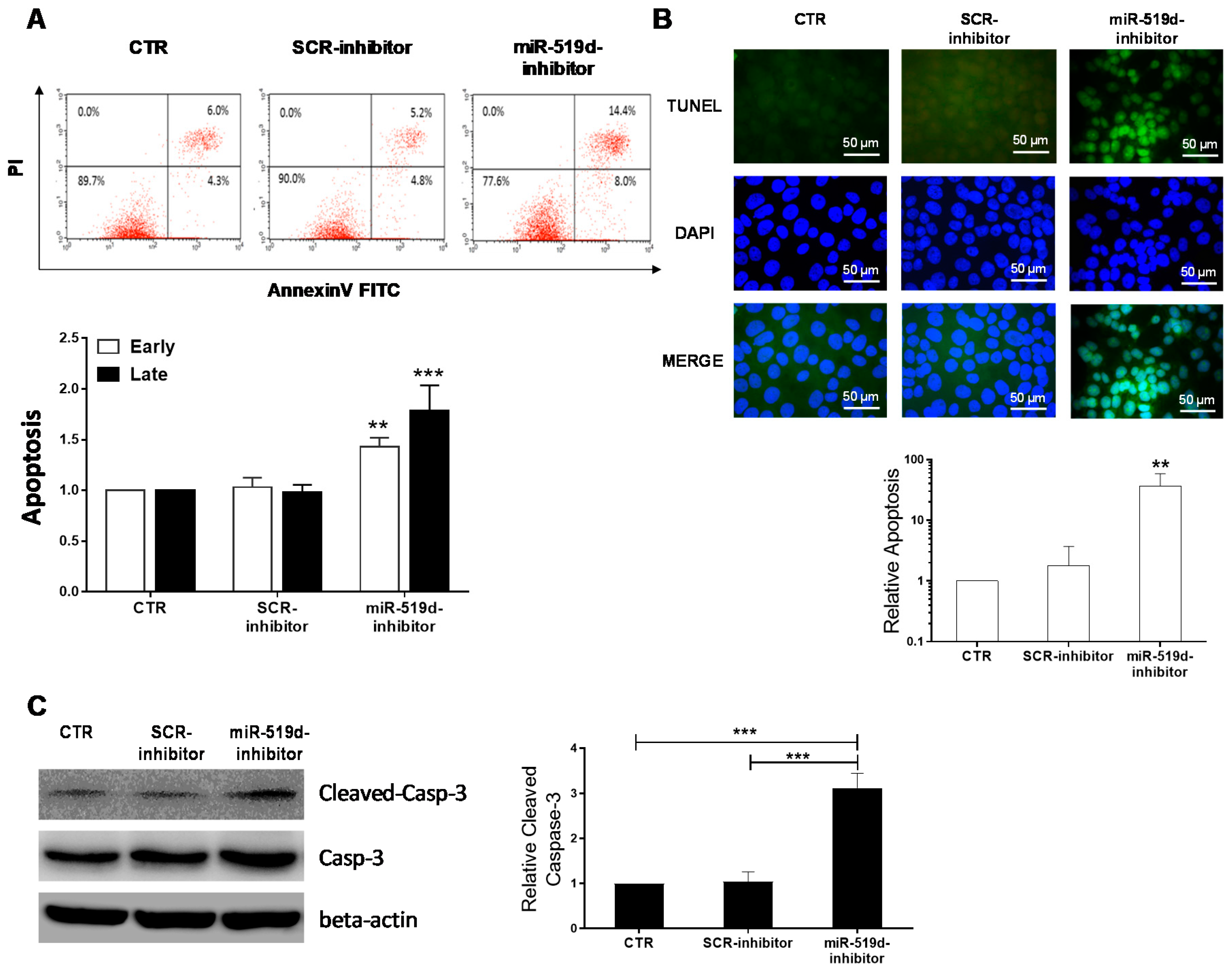 Ijms 21 03458 g003 Ijms 21 03458 g003