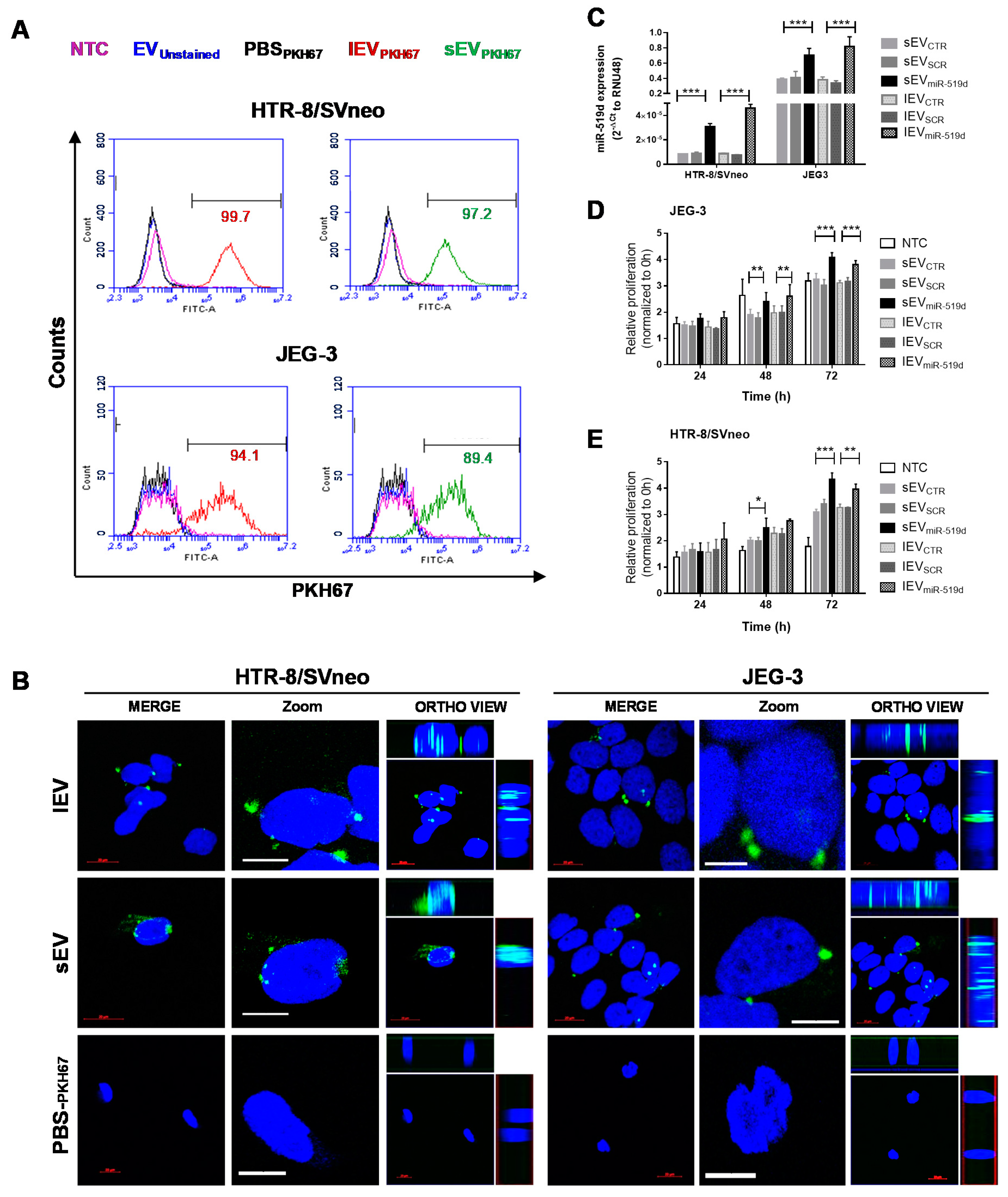 Ijms 21 03458 g005 Ijms 21 03458 g005