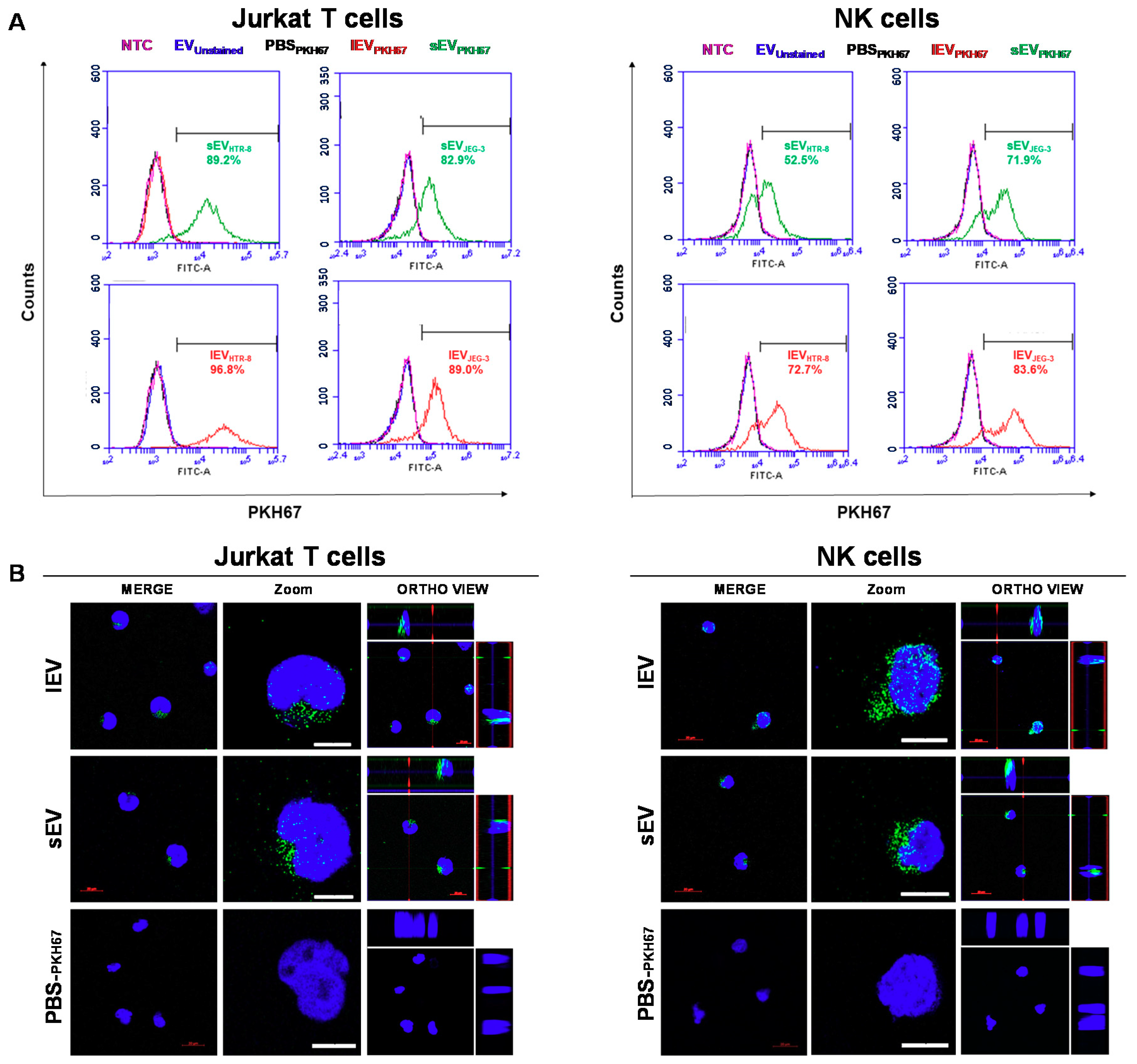 Ijms 21 03458 g007a Ijms 21 03458 g007a