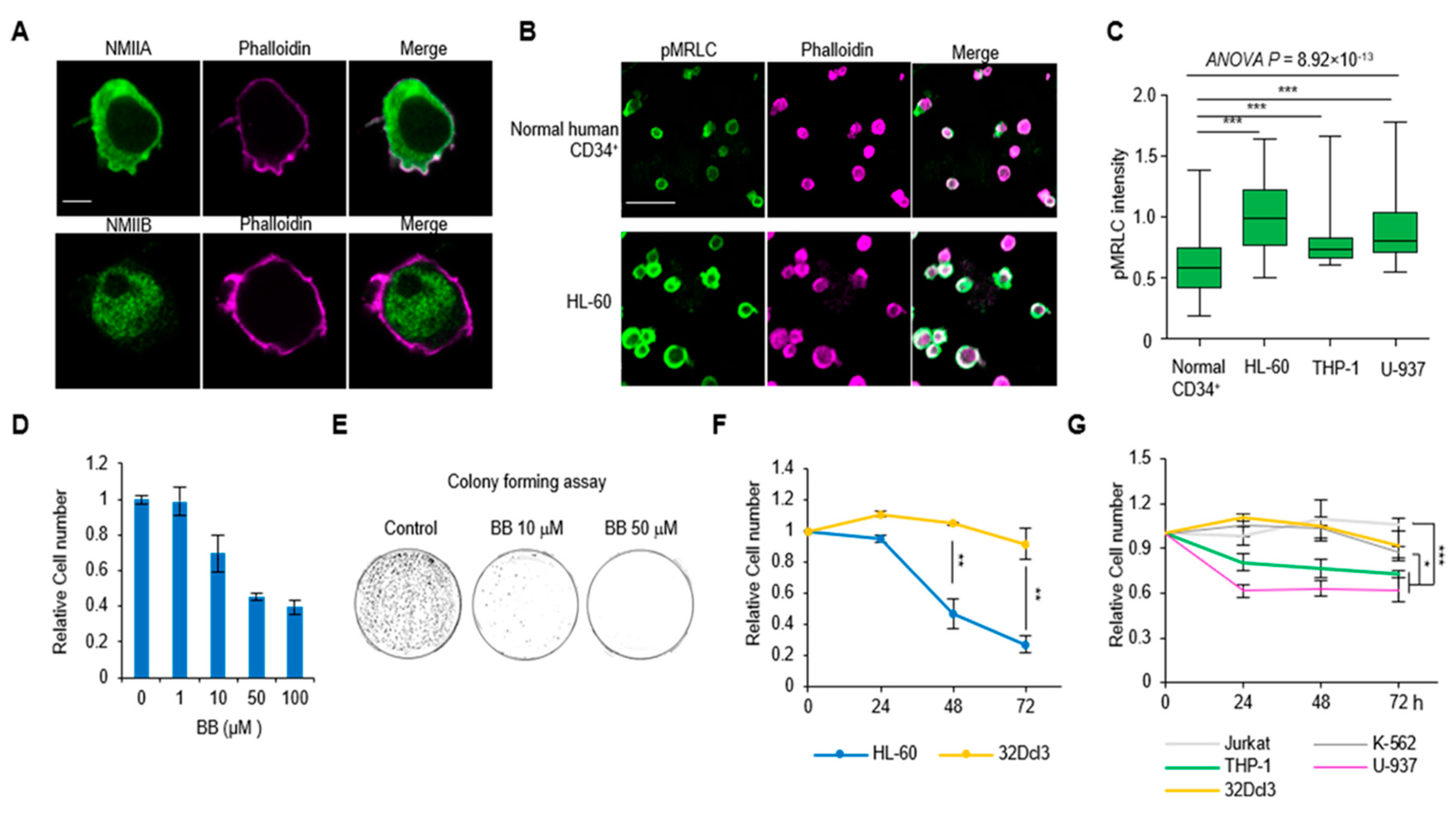 Ijms 21 03460 g001 Ijms 21 03460 g001