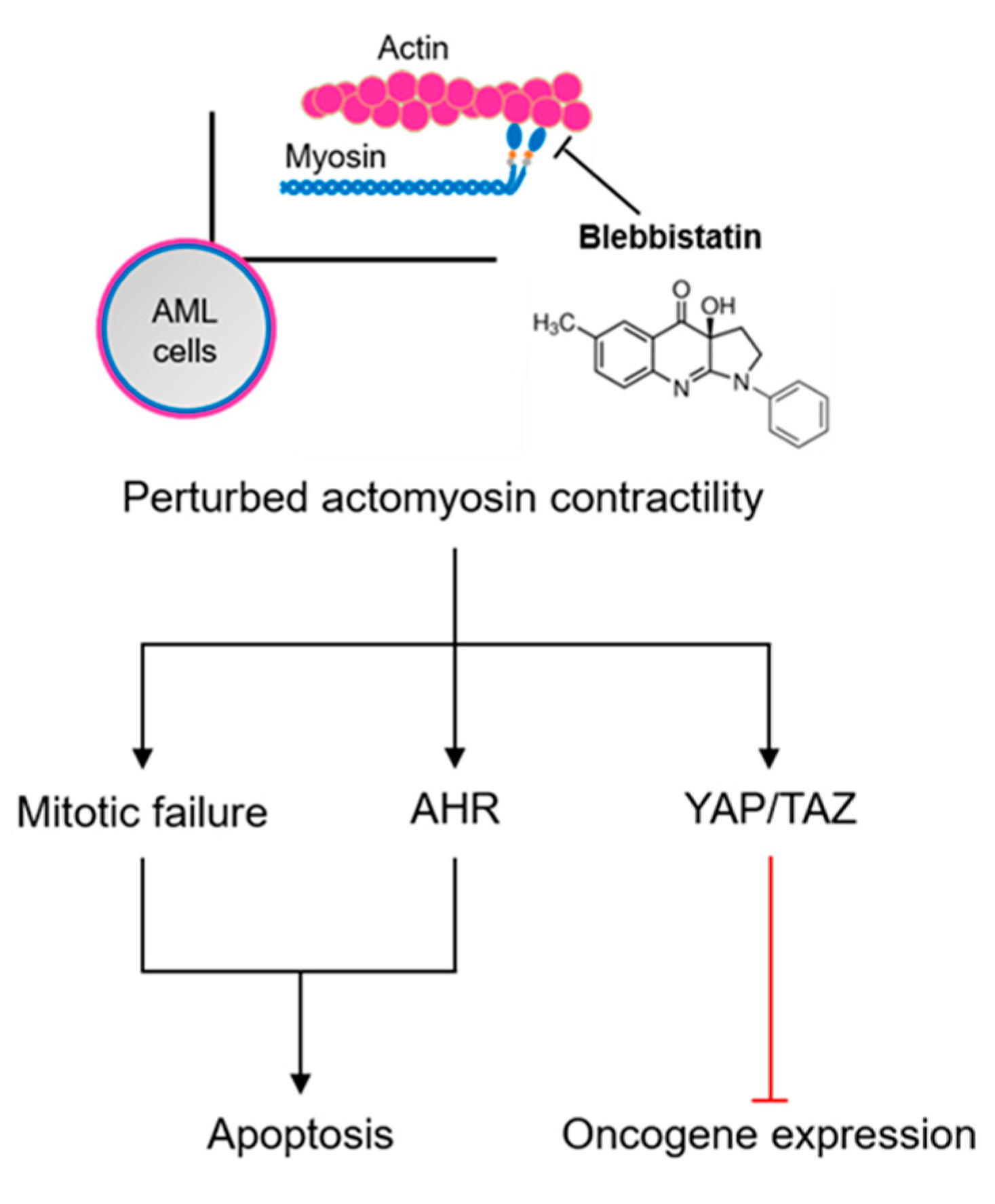 Ijms 21 03460 g005 Ijms 21 03460 g005