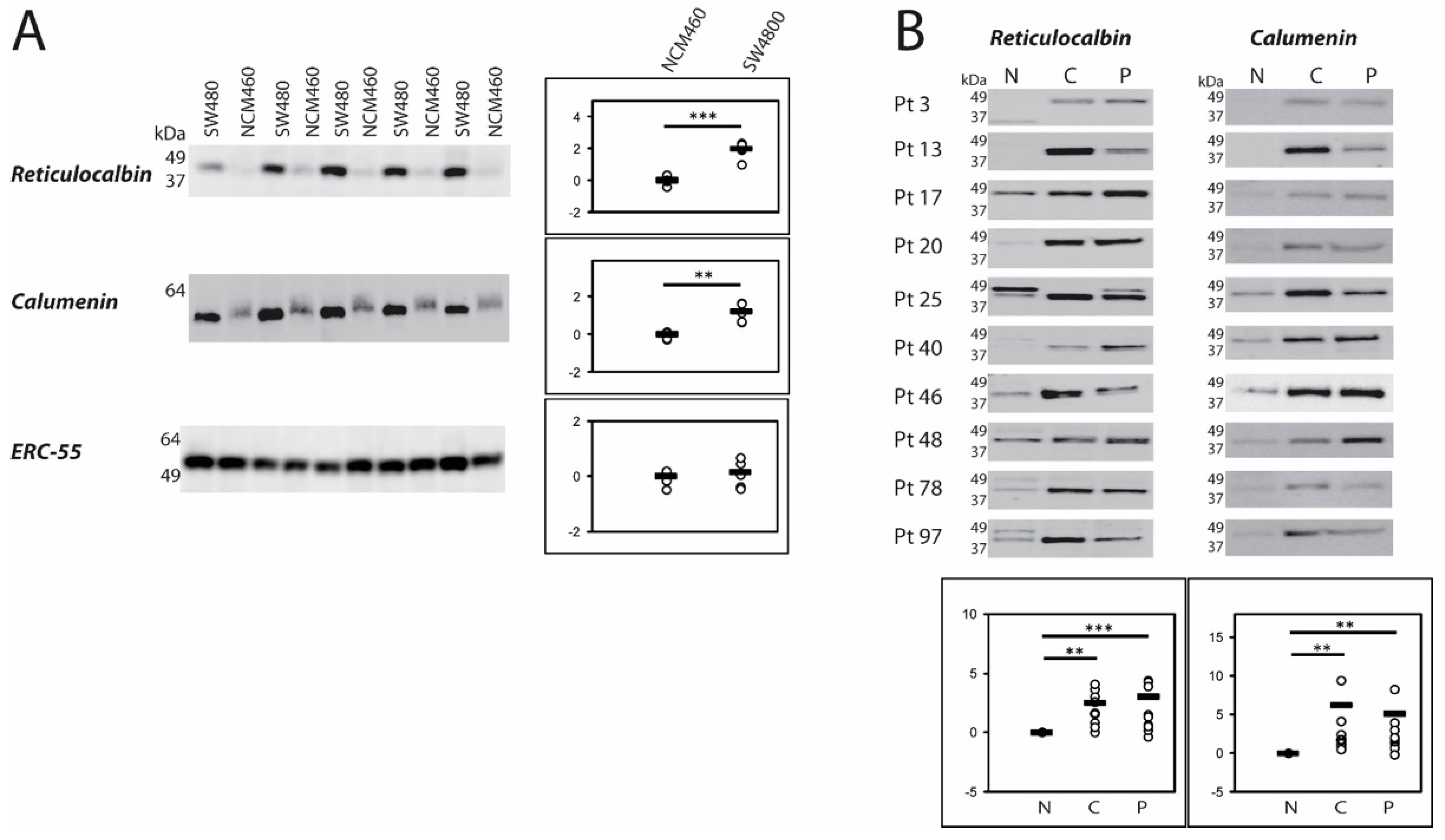 Ijms 21 03466 g001 Ijms 21 03466 g001