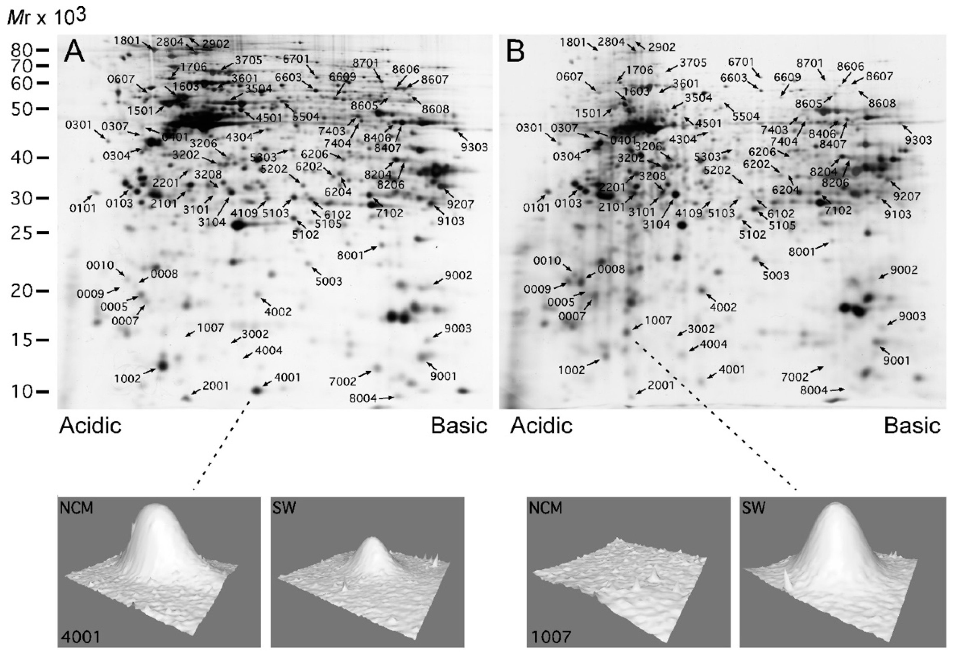 Ijms 21 03466 g002 Ijms 21 03466 g002