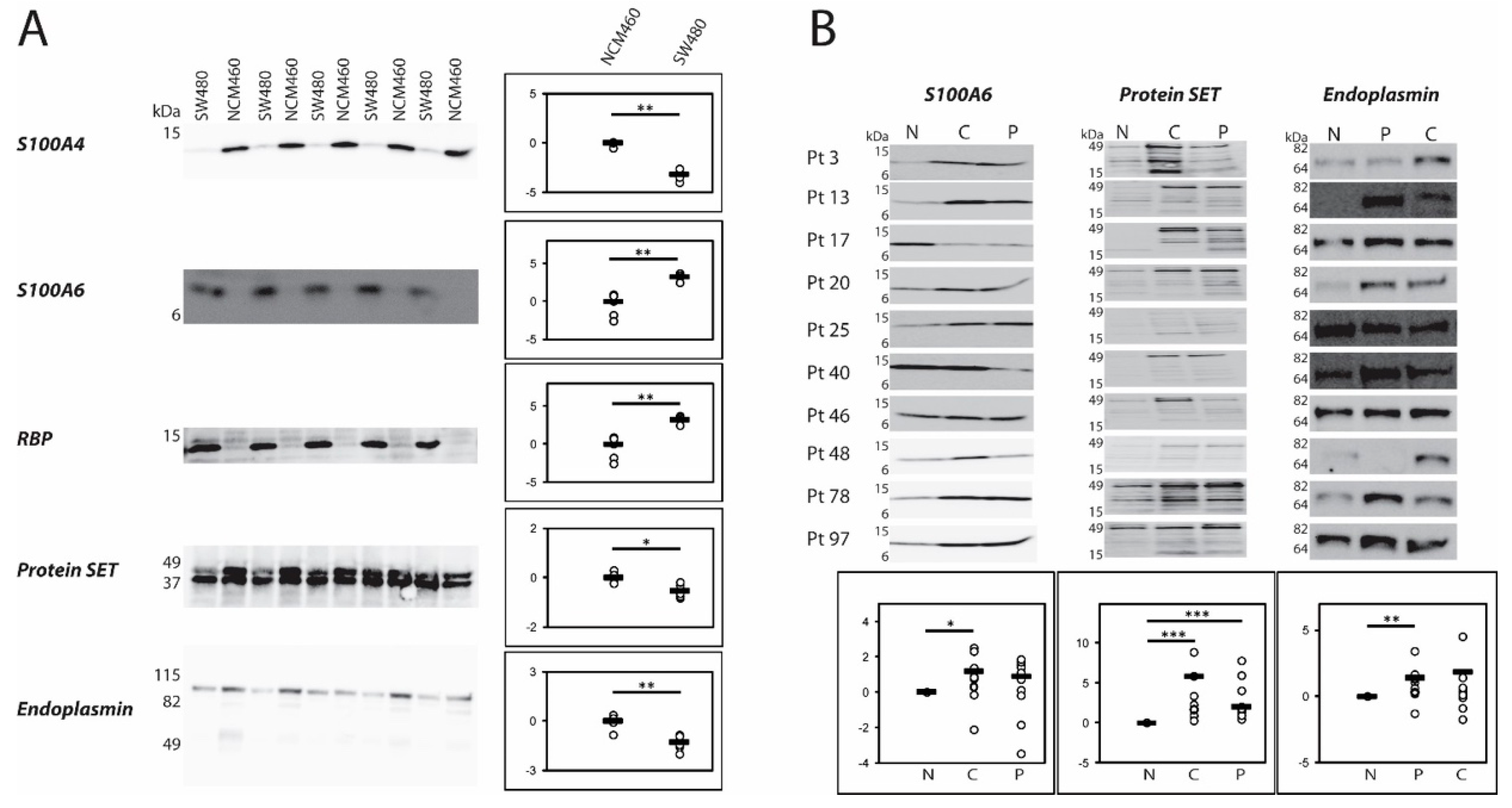 Ijms 21 03466 g004 Ijms 21 03466 g004