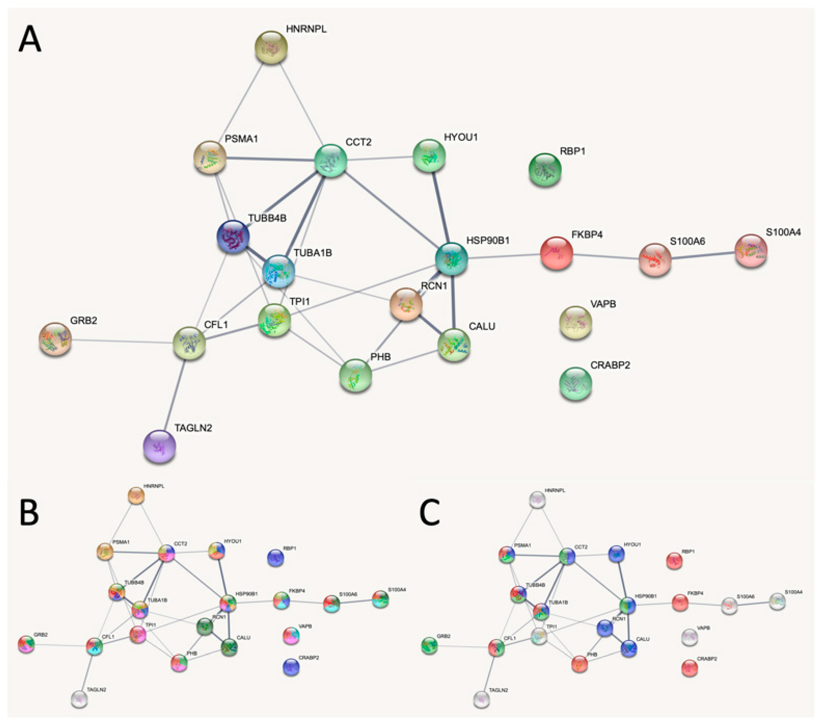 Ijms 21 03466 g005 Ijms 21 03466 g005