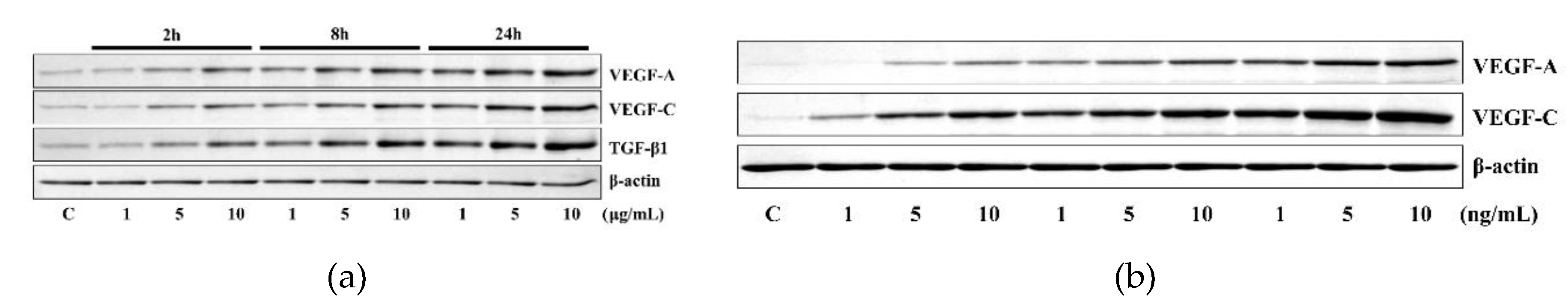 Ijms 21 03473 g001 Ijms 21 03473 g001