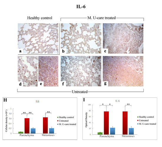 Ijms Free Full Text Novel Medicinal Mushroom Blend As A Promising Supplement In Integrative Oncology A Multi Tiered Study Using 4t1 Triple Negative Mouse Breast Cancer Model Html