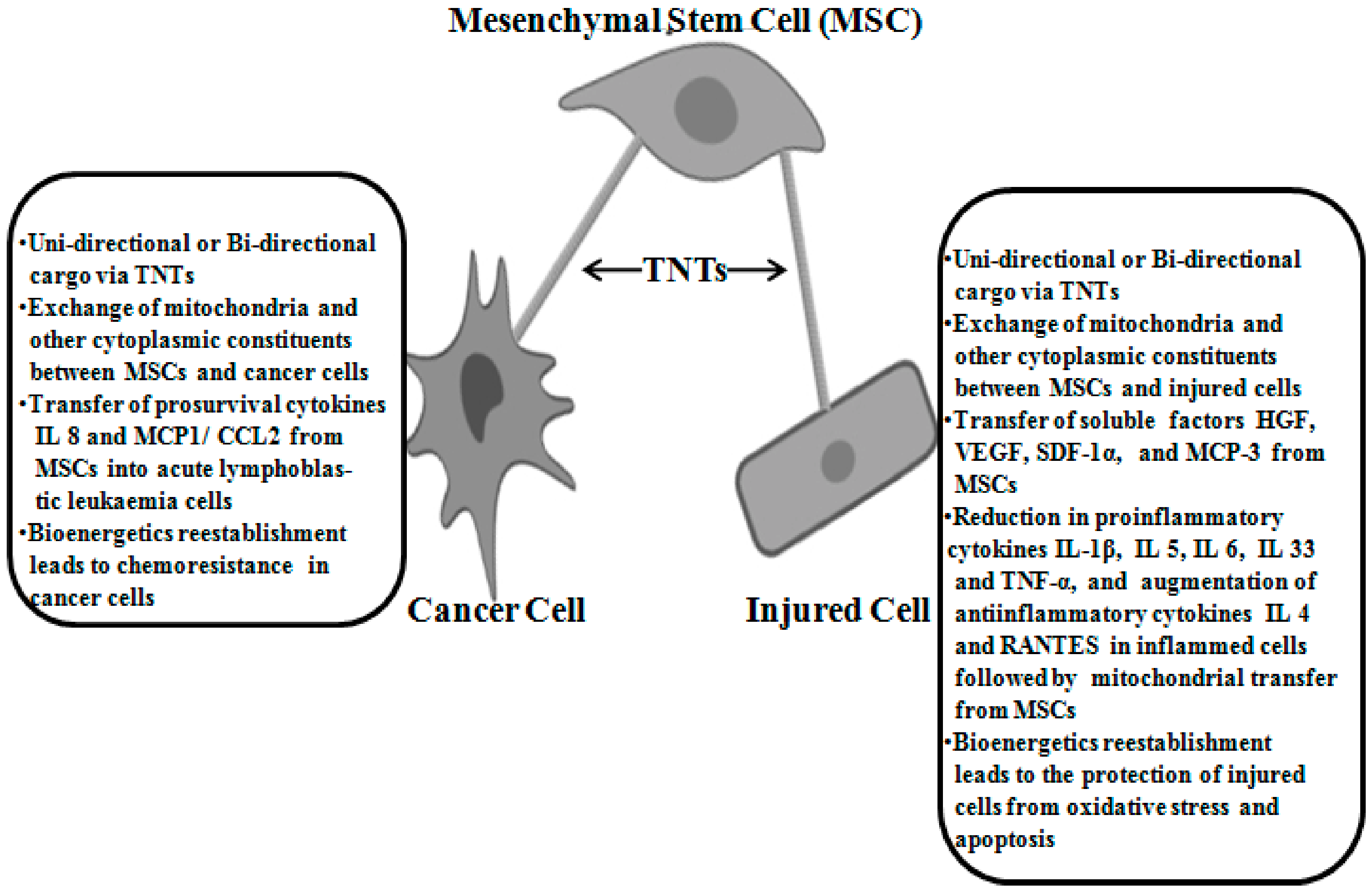Ijms 21 03481 g001 Ijms 21 03481 g001