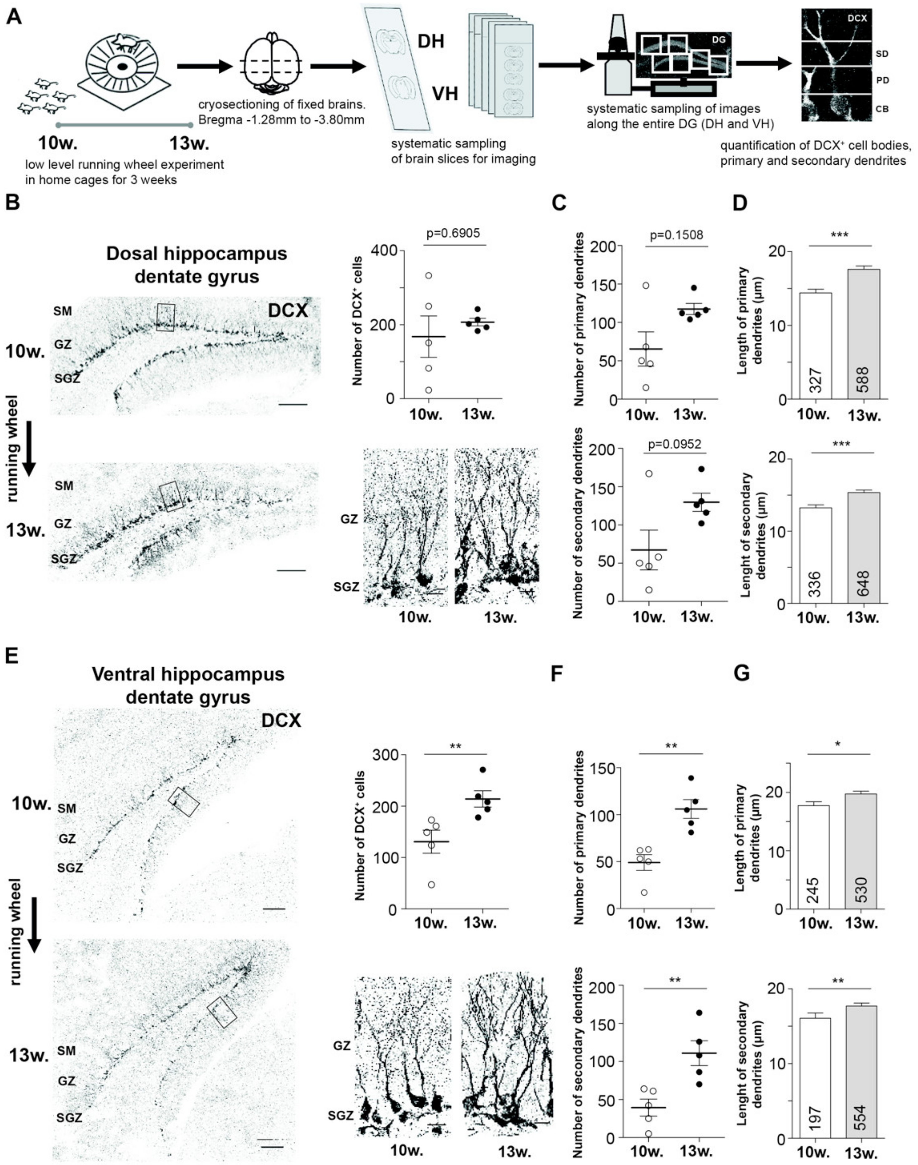 Ijms 21 03501 g001 Ijms 21 03501 g001