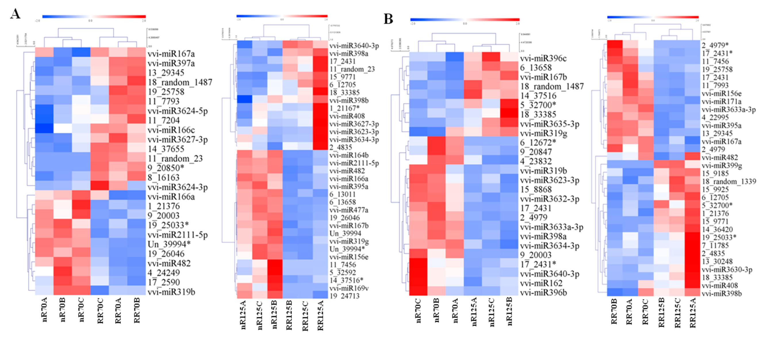 Ijms 21 03513 g004 Ijms 21 03513 g004