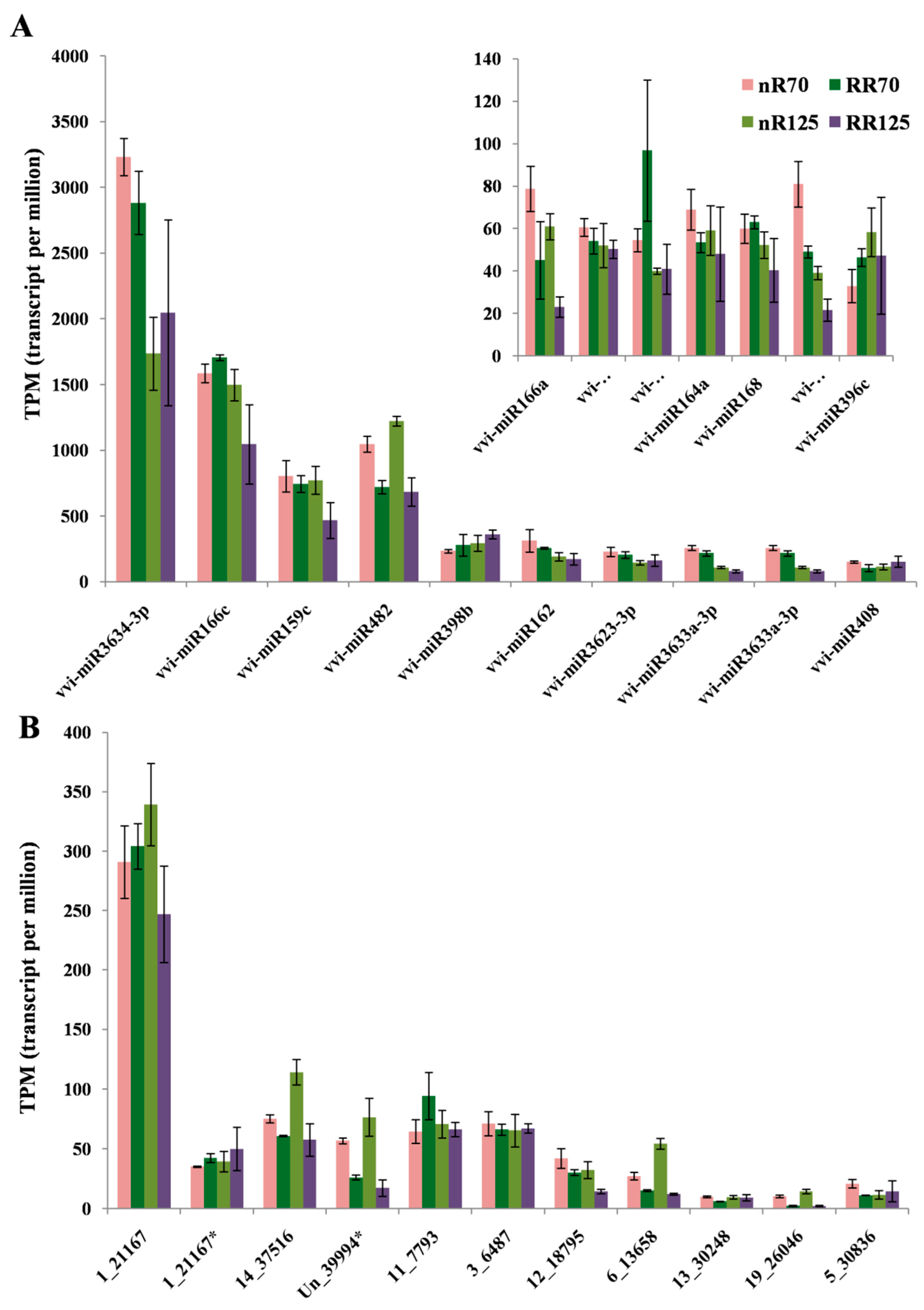 Ijms 21 03513 g005 Ijms 21 03513 g005