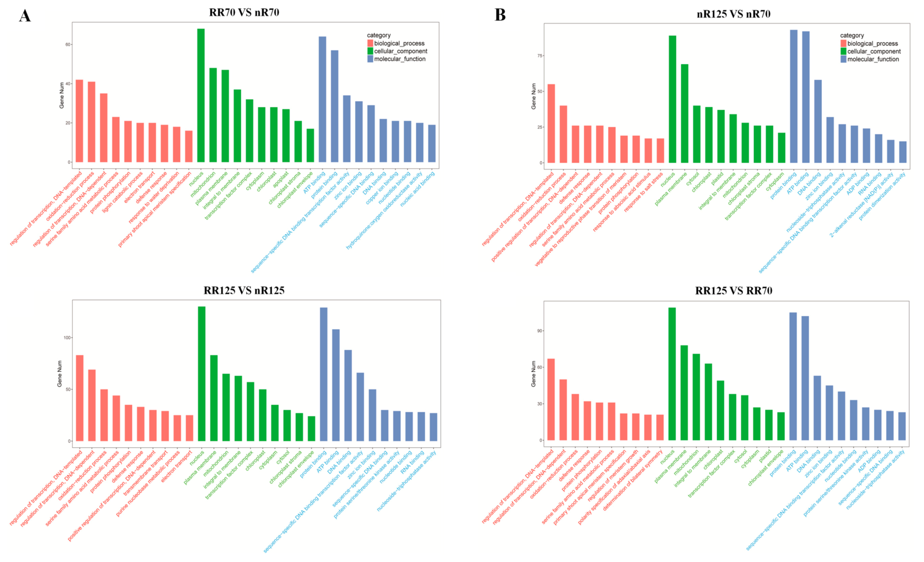 Ijms 21 03513 g006 Ijms 21 03513 g006