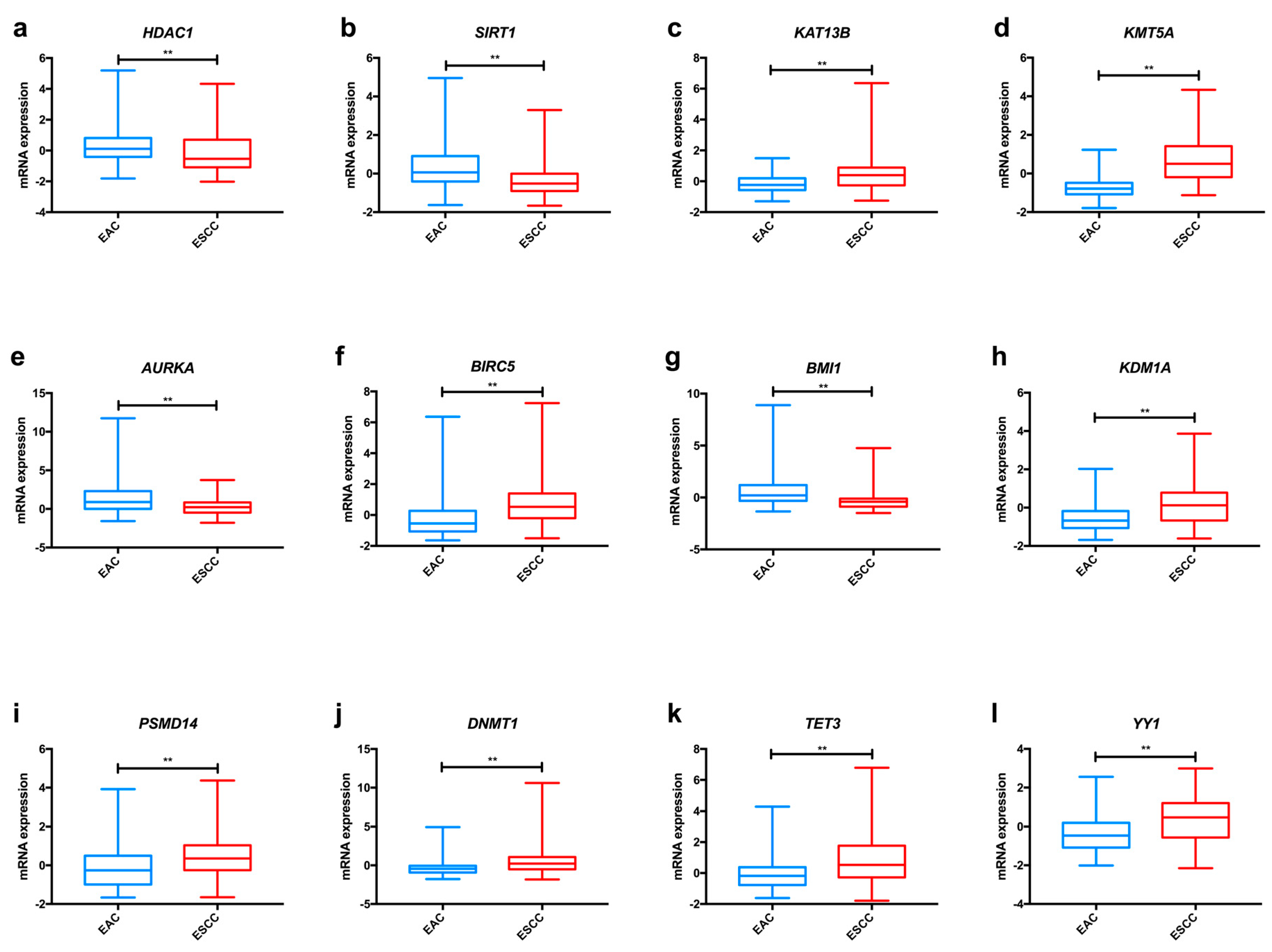 Ijms Free Full Text Epigenetic Alterations In Oesophageal Cancer Expression And Role Of The Involved Enzymes Html