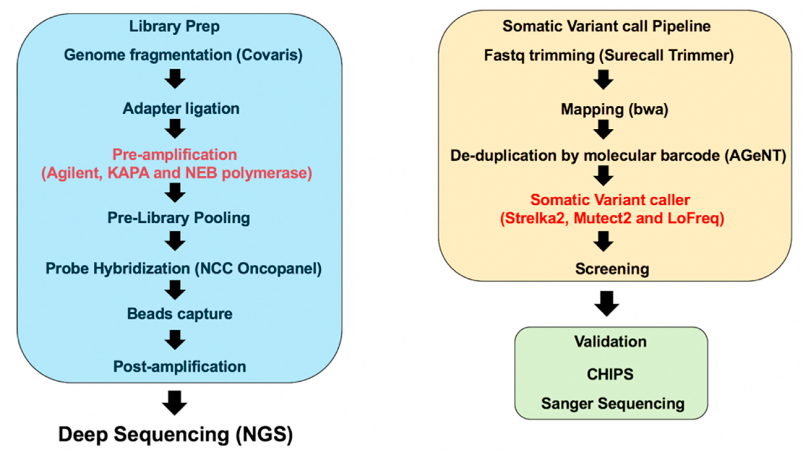 Ijms 21 03530 g001 Ijms 21 03530 g001