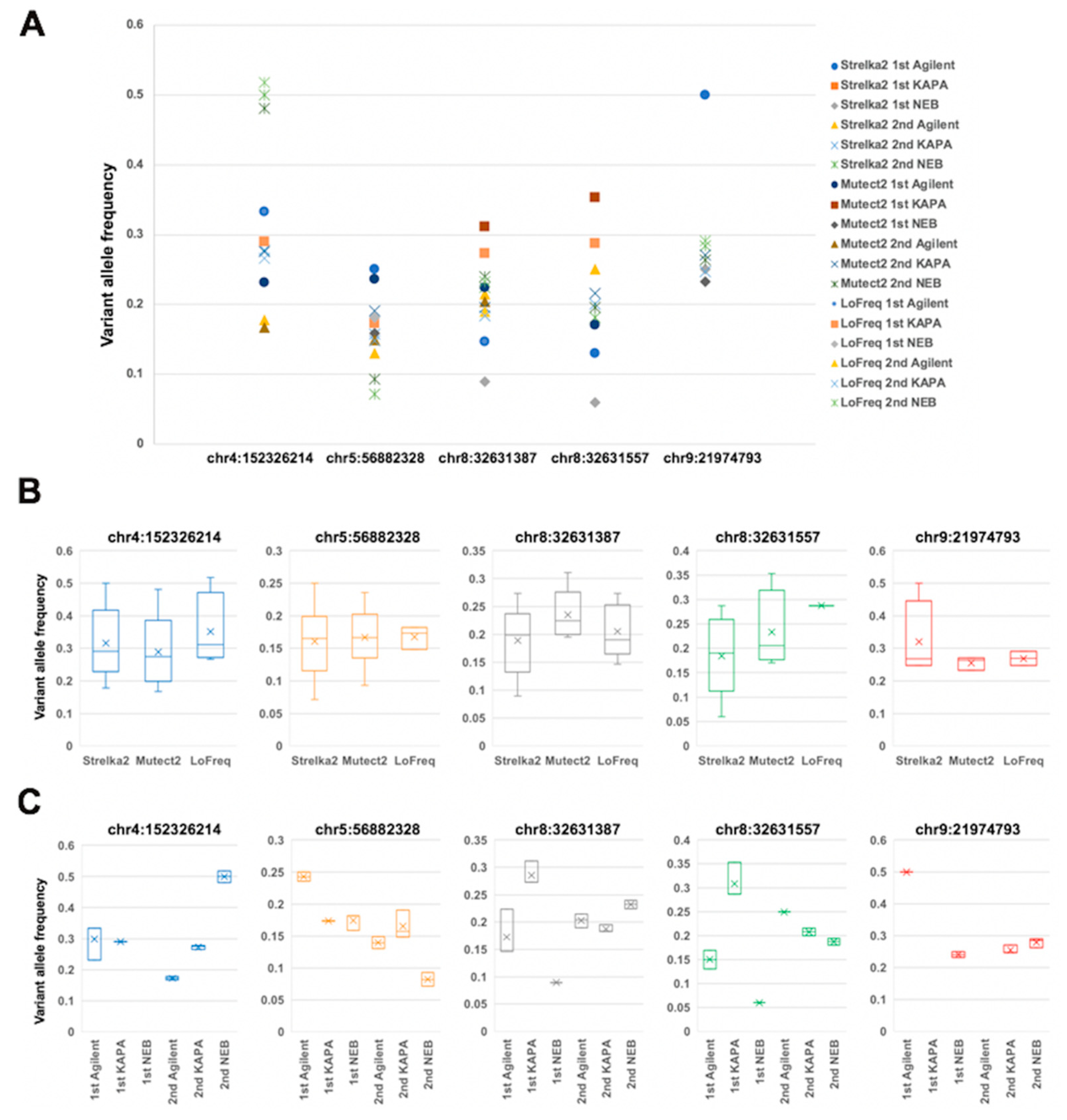 Ijms 21 03530 g005 Ijms 21 03530 g005