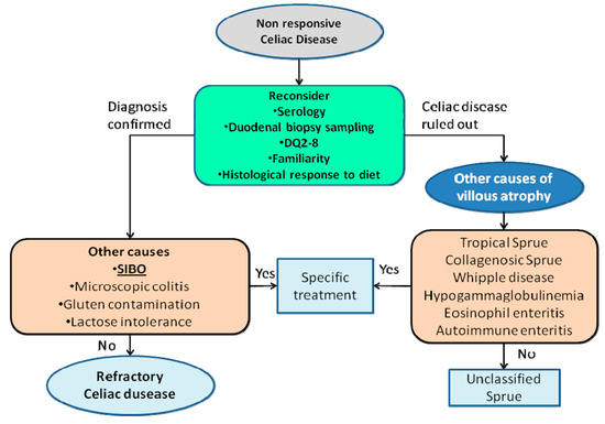 SIBO: Methane Dominant Treatment Plan - Testing and Natural Treatments