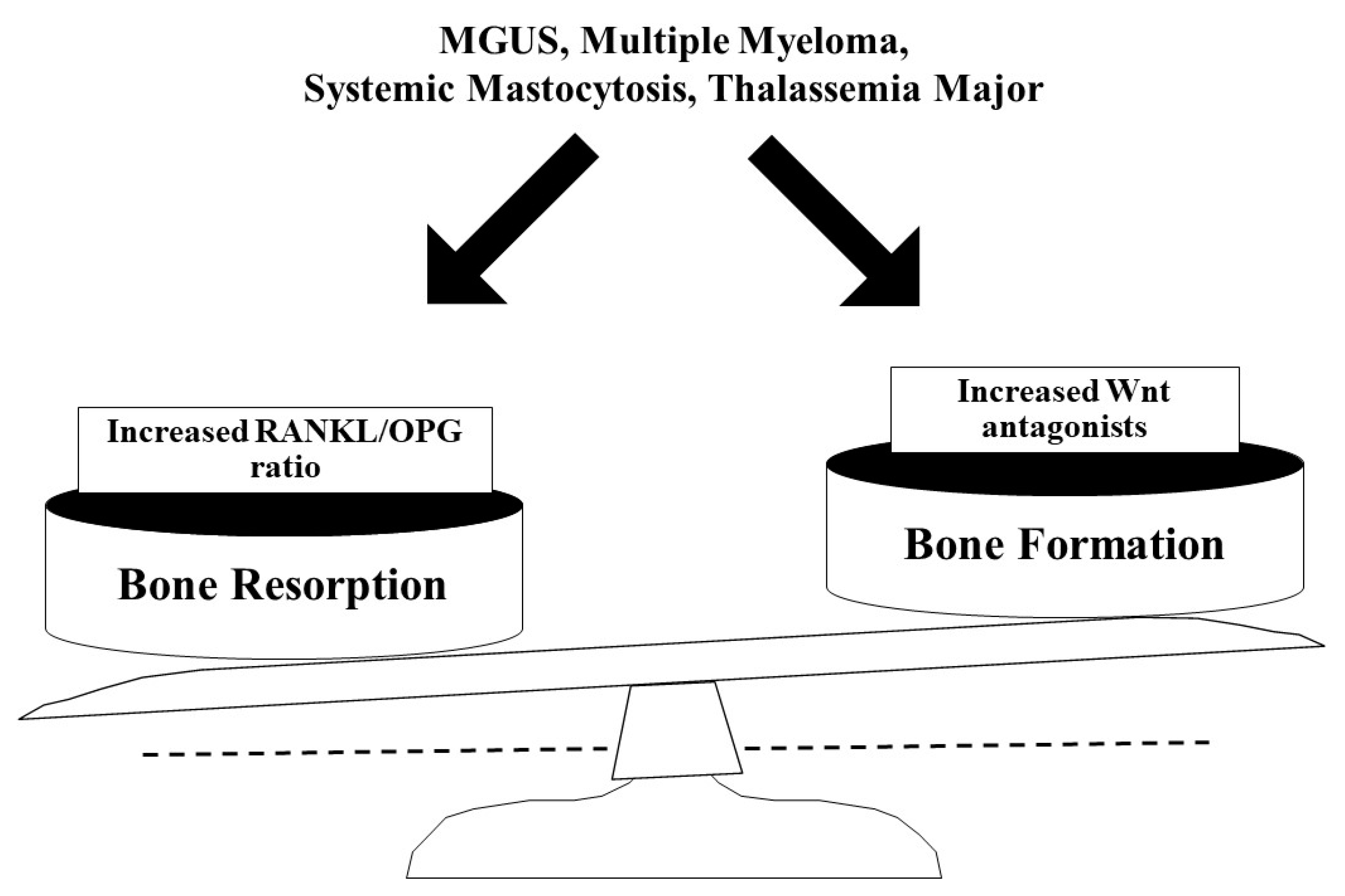 Ijms 21 03538 g003 Ijms 21 03538 g003
