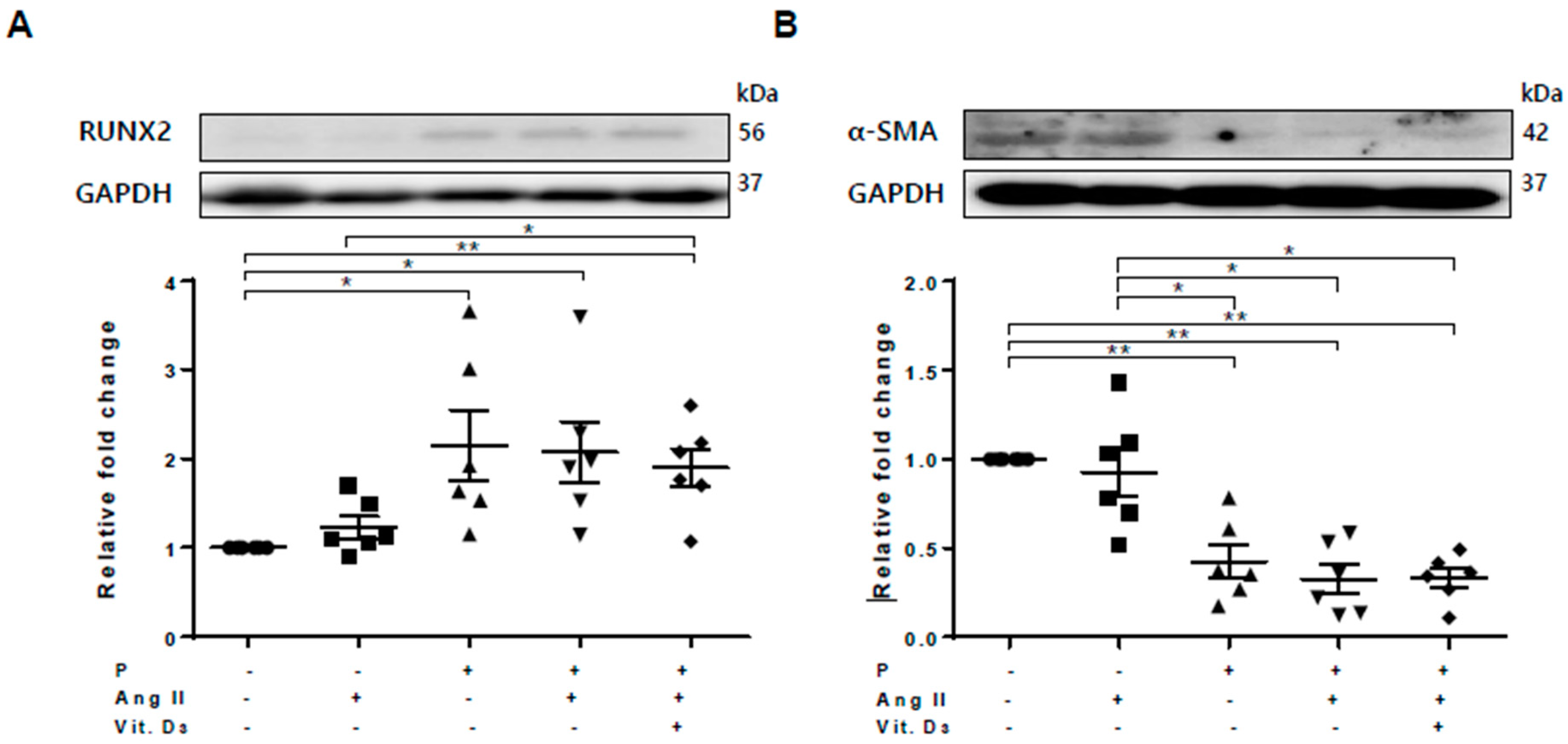Ijms 21 03539 g001 Ijms 21 03539 g001