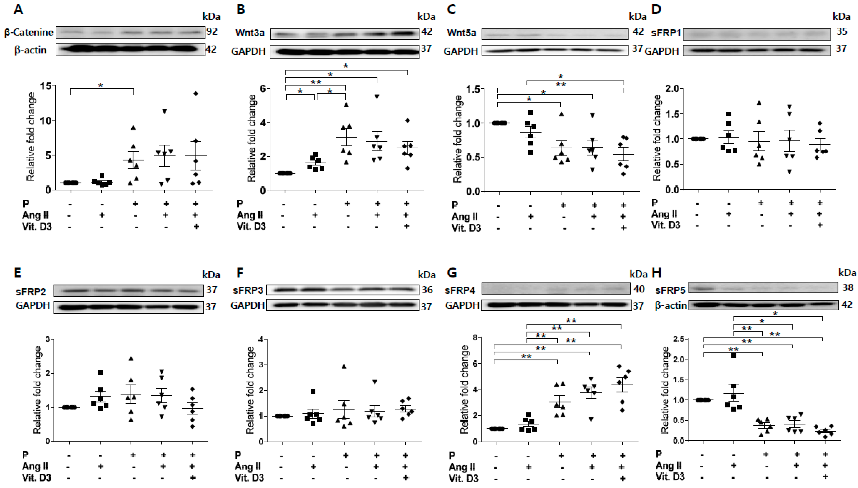 Ijms 21 03539 g002 Ijms 21 03539 g002