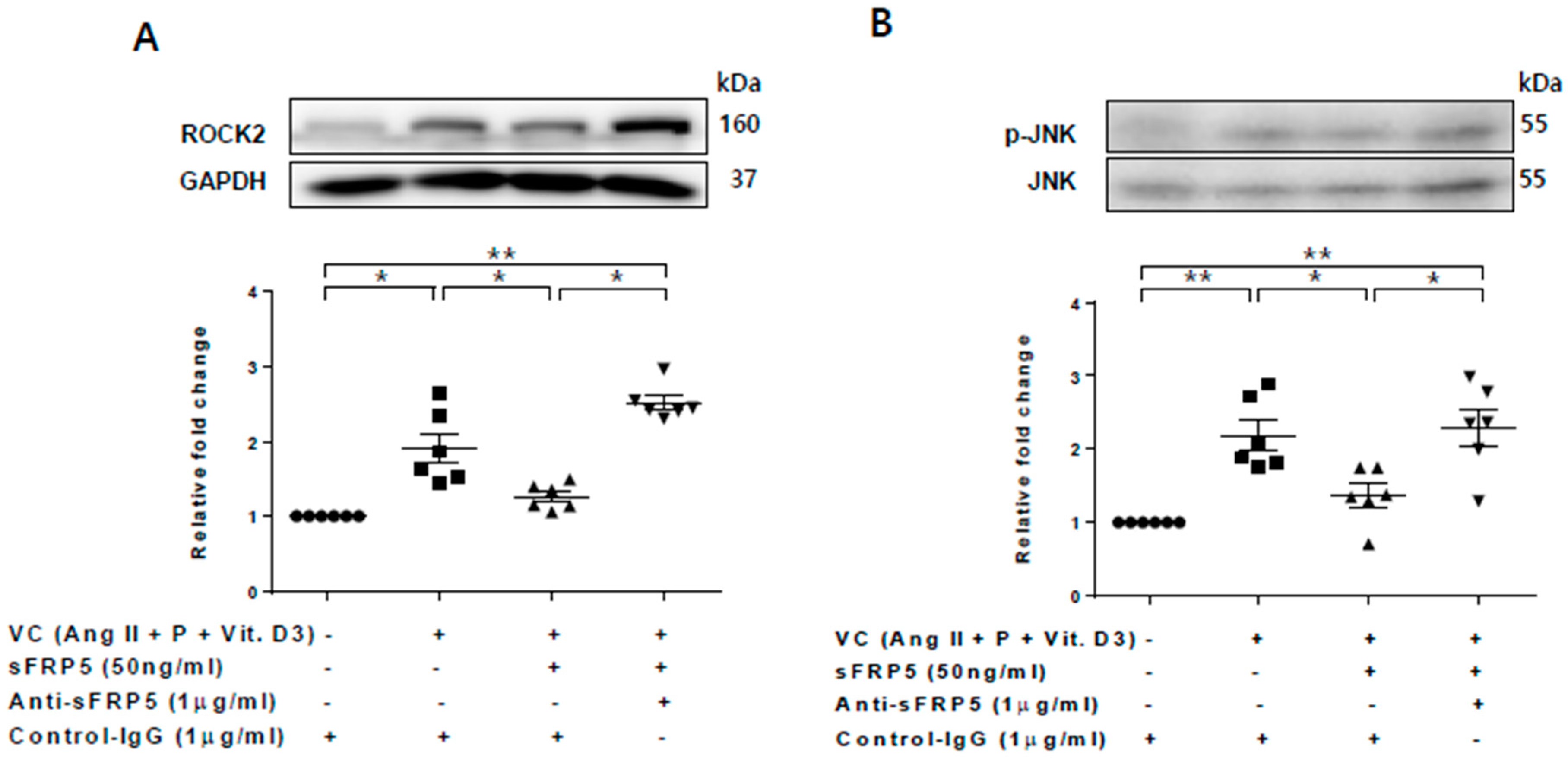 Ijms 21 03539 g004 Ijms 21 03539 g004