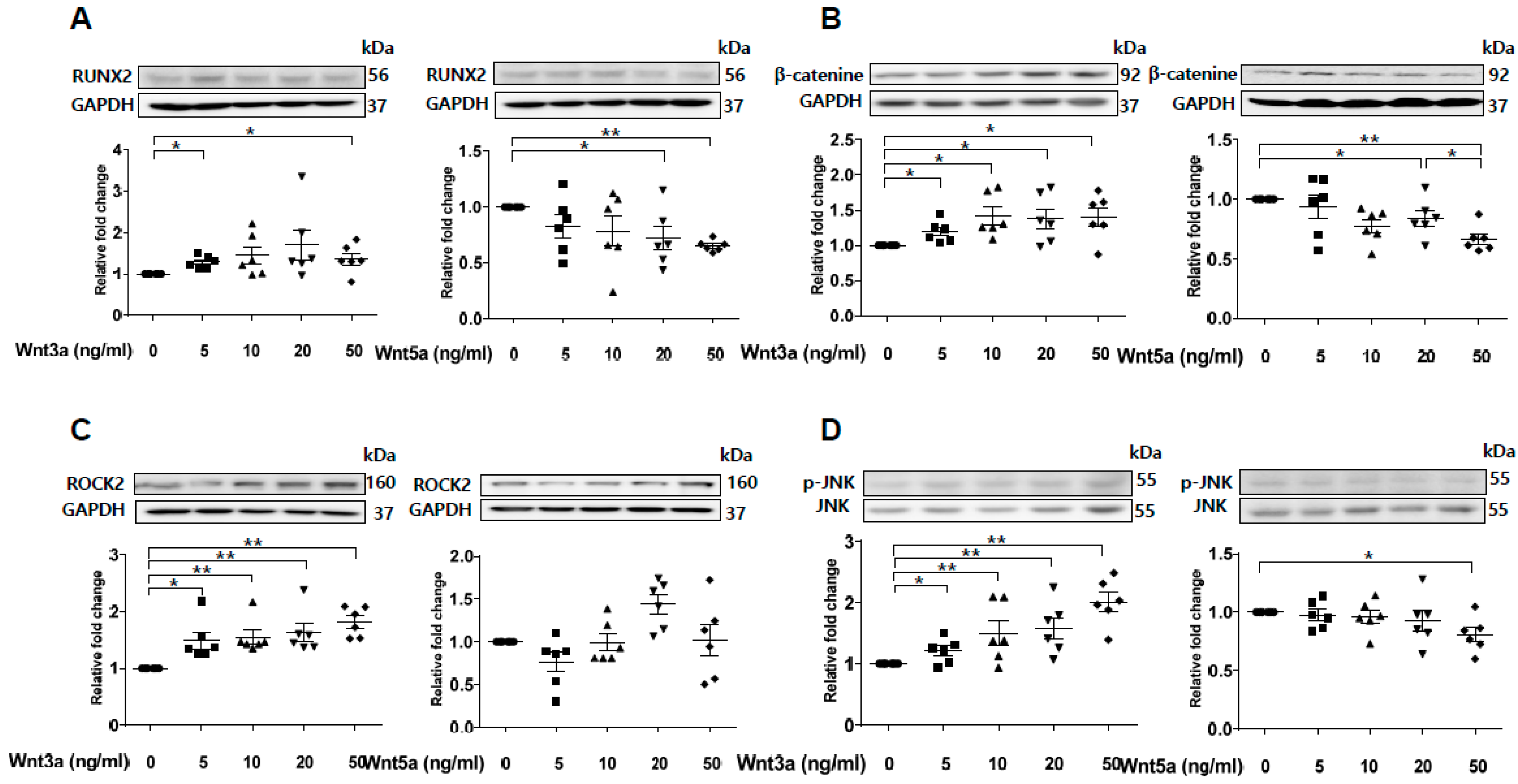 Ijms 21 03539 g005 Ijms 21 03539 g005