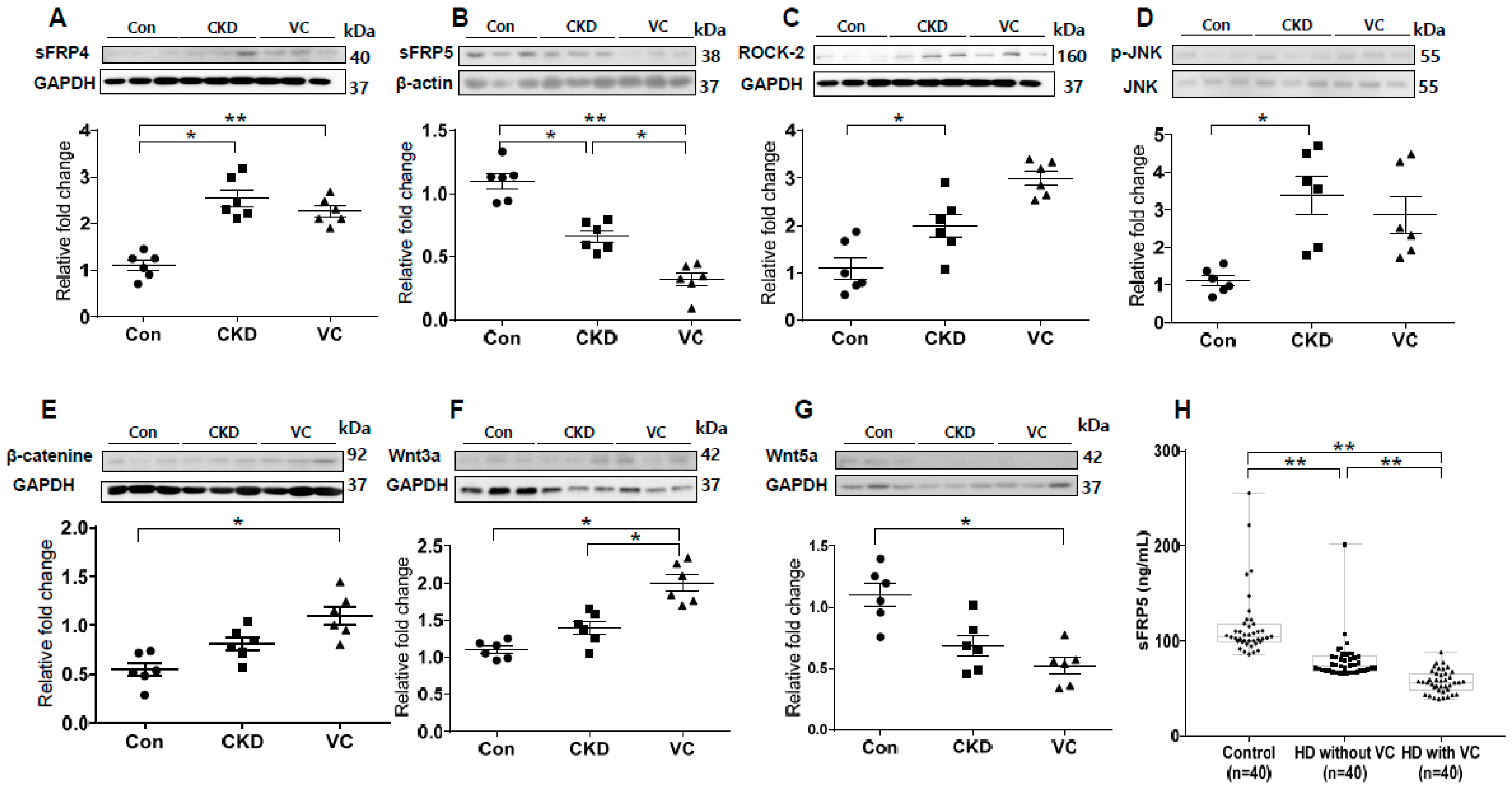 Ijms 21 03539 g007 Ijms 21 03539 g007