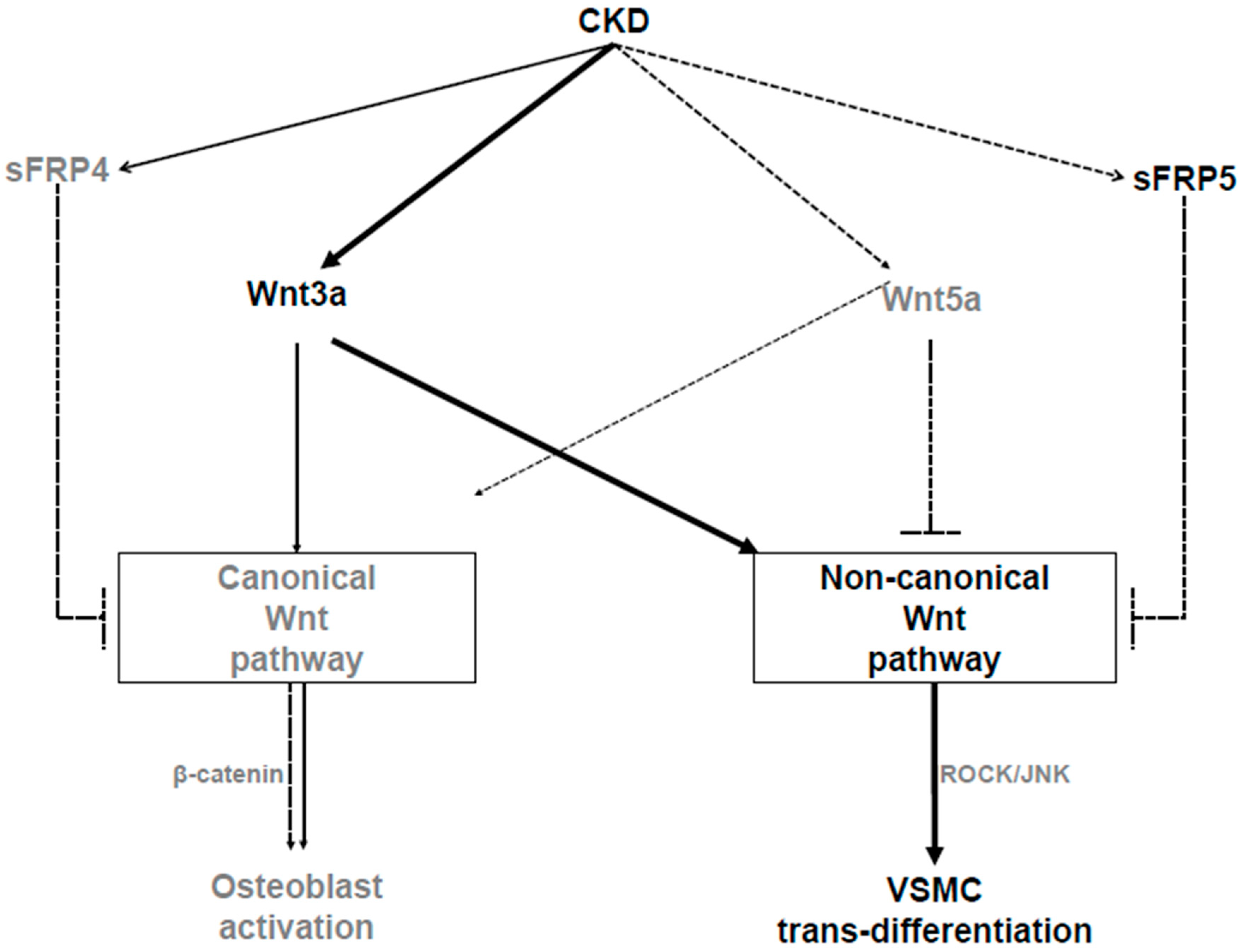 Ijms 21 03539 g008 Ijms 21 03539 g008