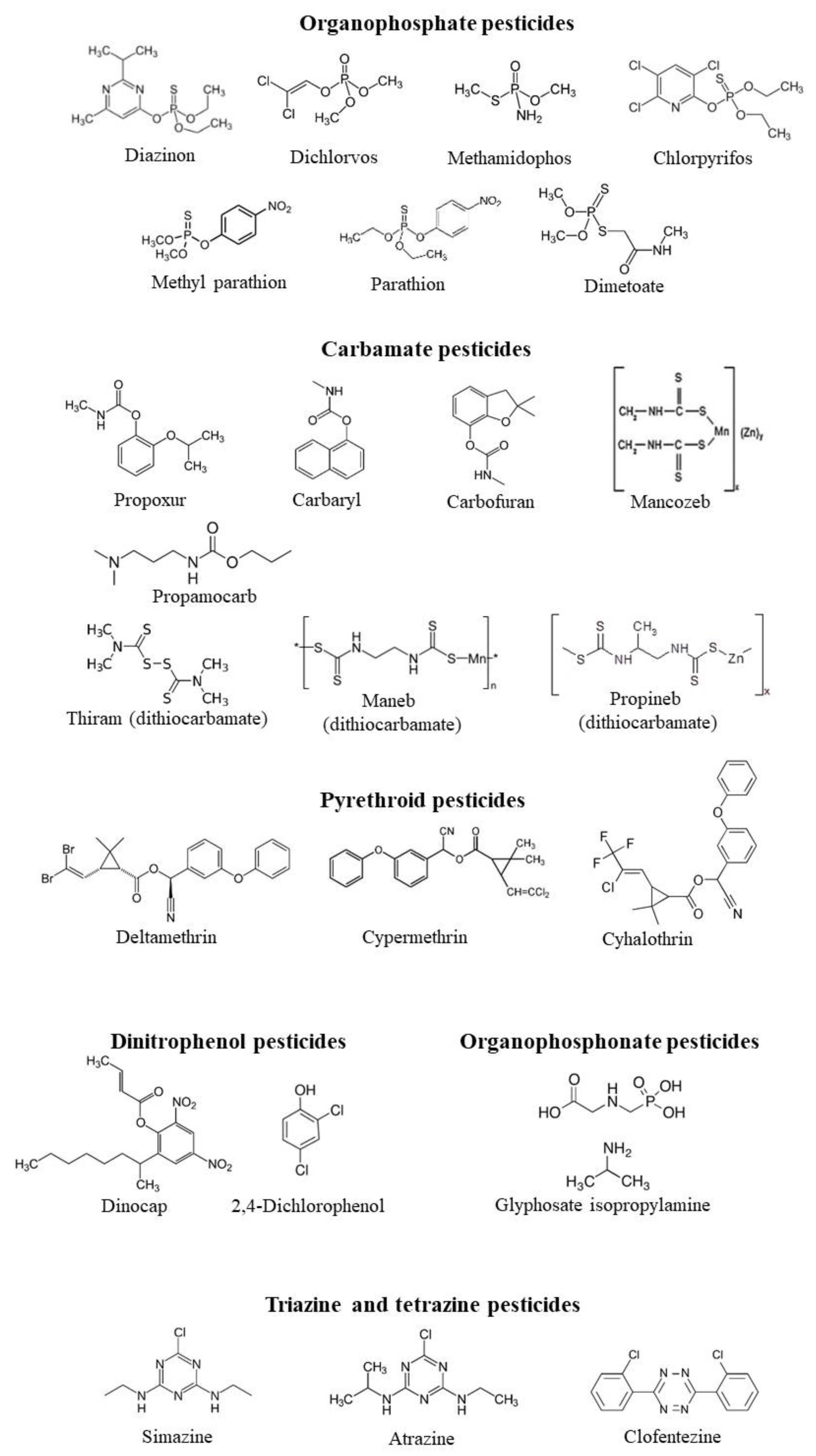 Ijms 21 03562 g001 Ijms 21 03562 g001