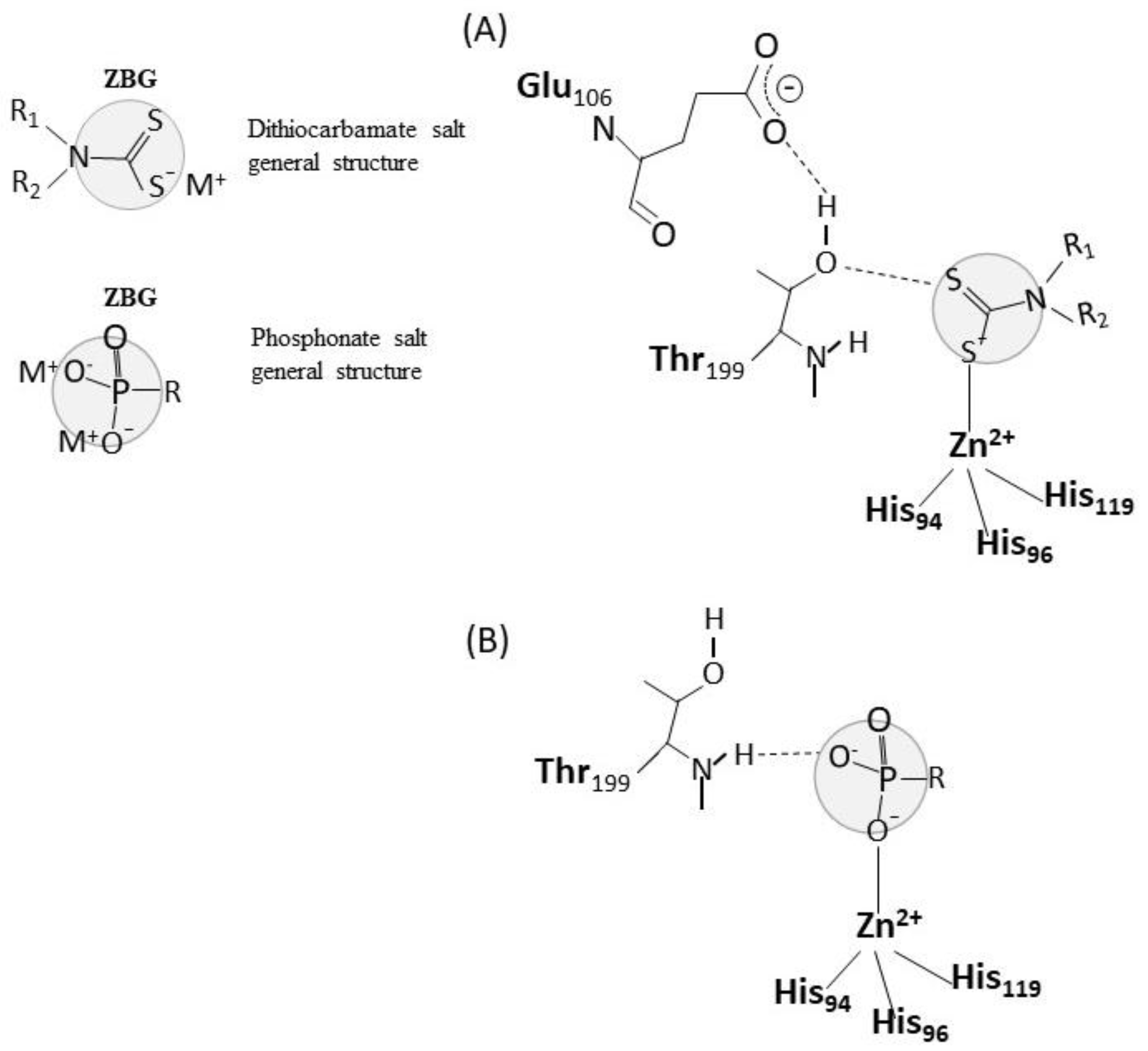 Ijms 21 03562 g003 Ijms 21 03562 g003