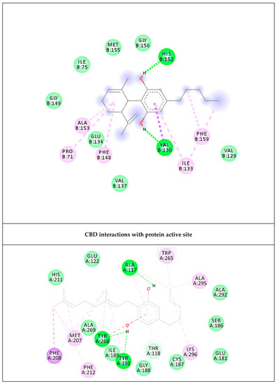 Antioxidant and Neuroprotective Effects Induced by