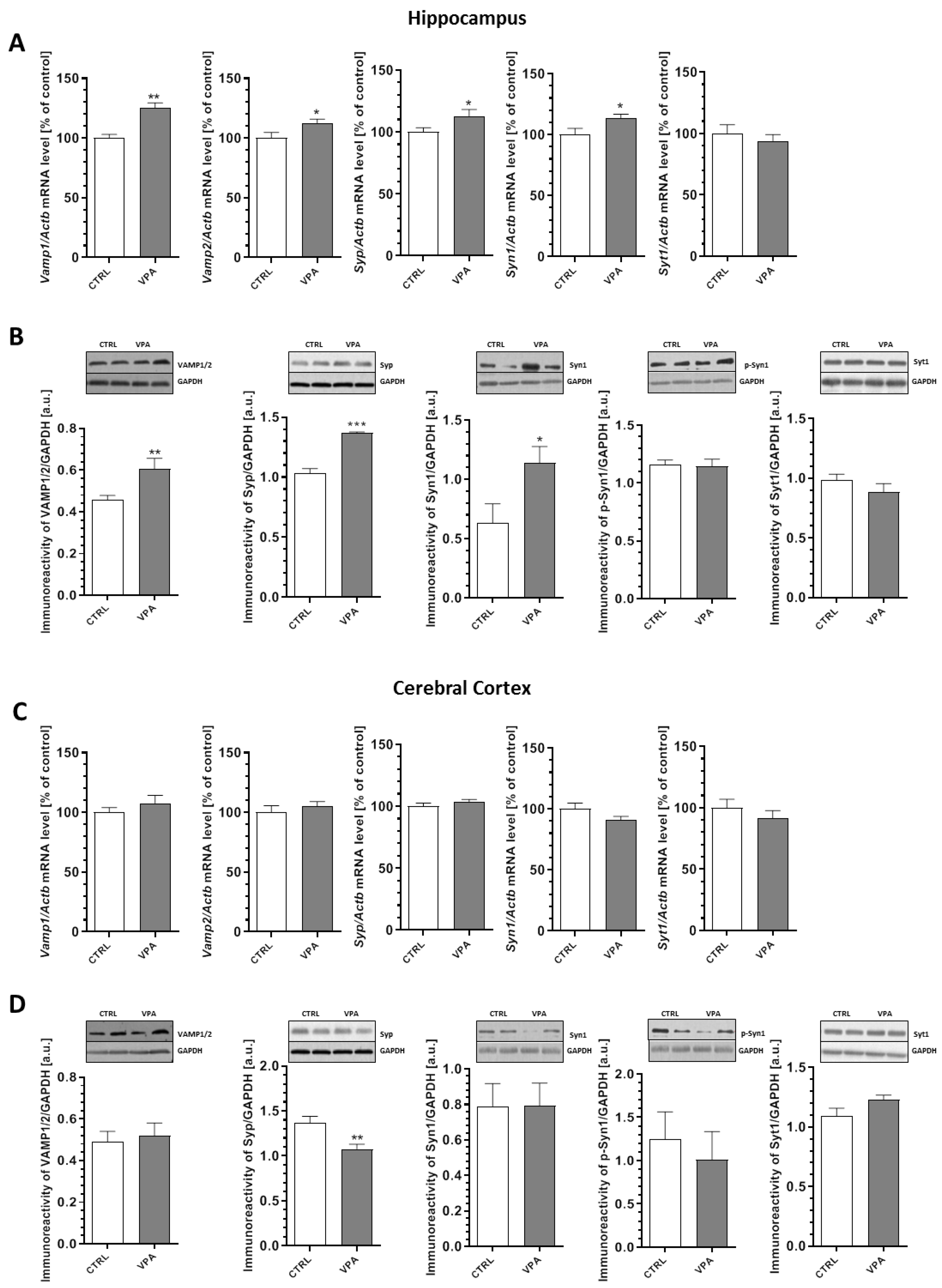 Ijms 21 03576 g003 Ijms 21 03576 g003