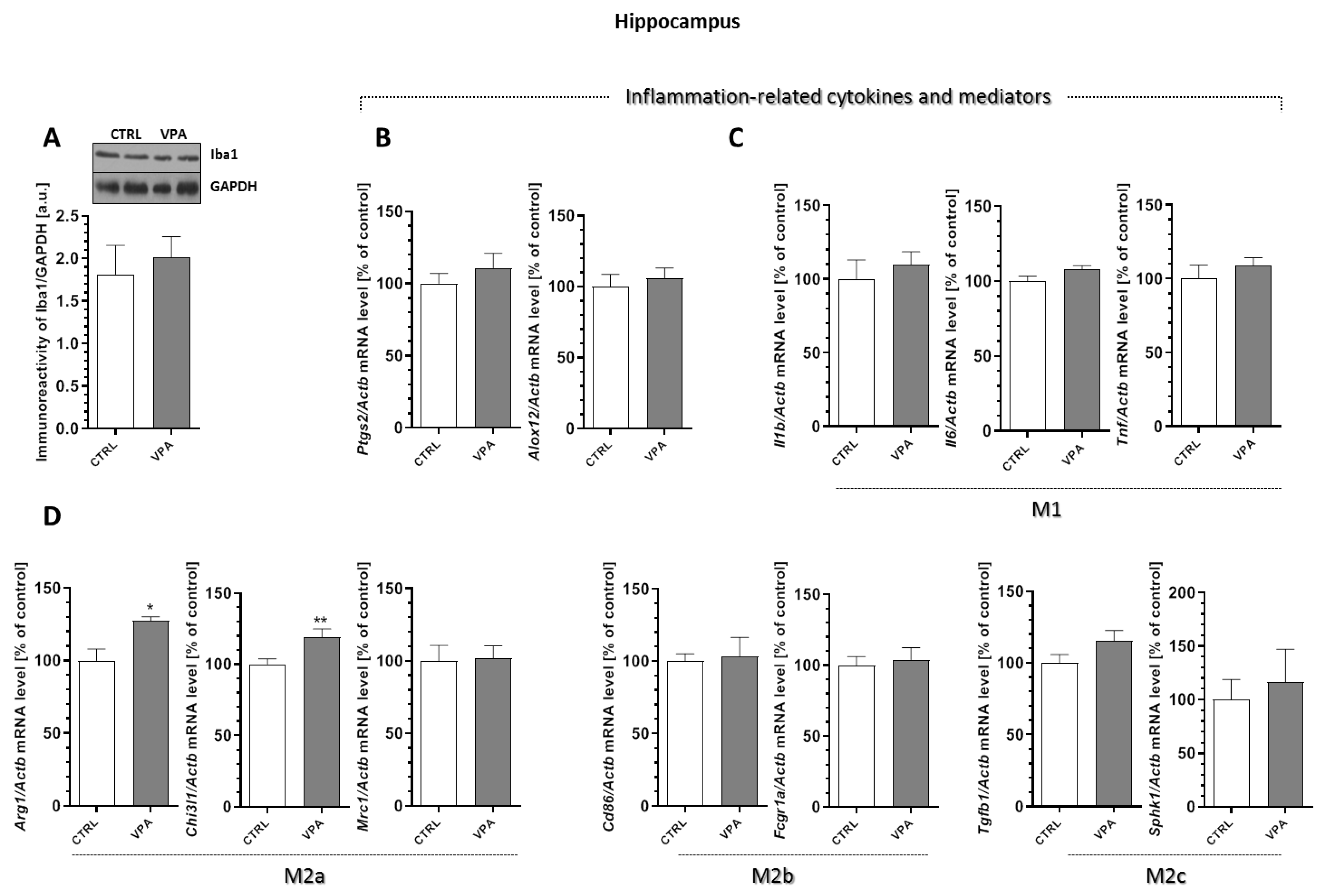 Ijms 21 03576 g009 Ijms 21 03576 g009