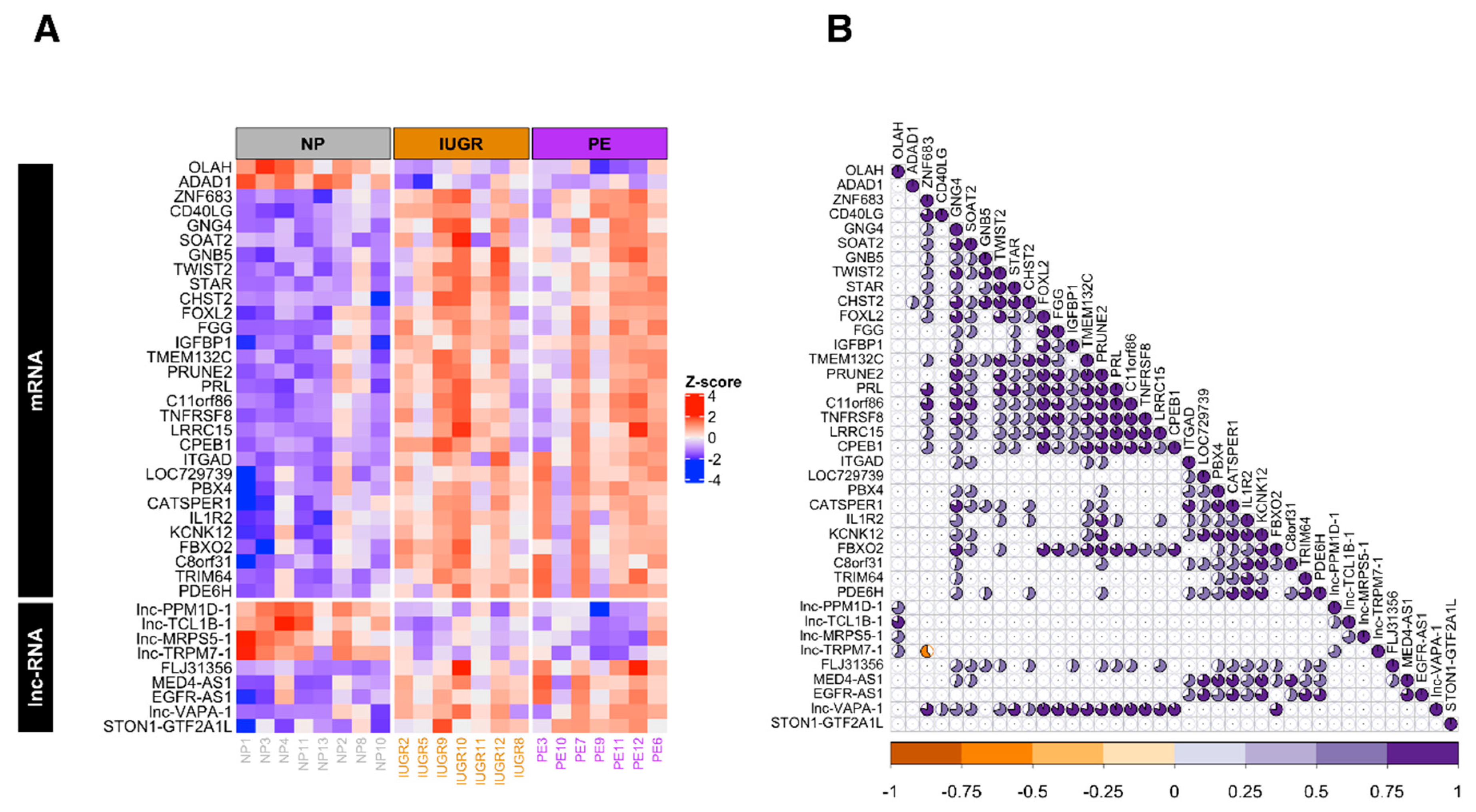 Ijms 21 03597 g002 Ijms 21 03597 g002