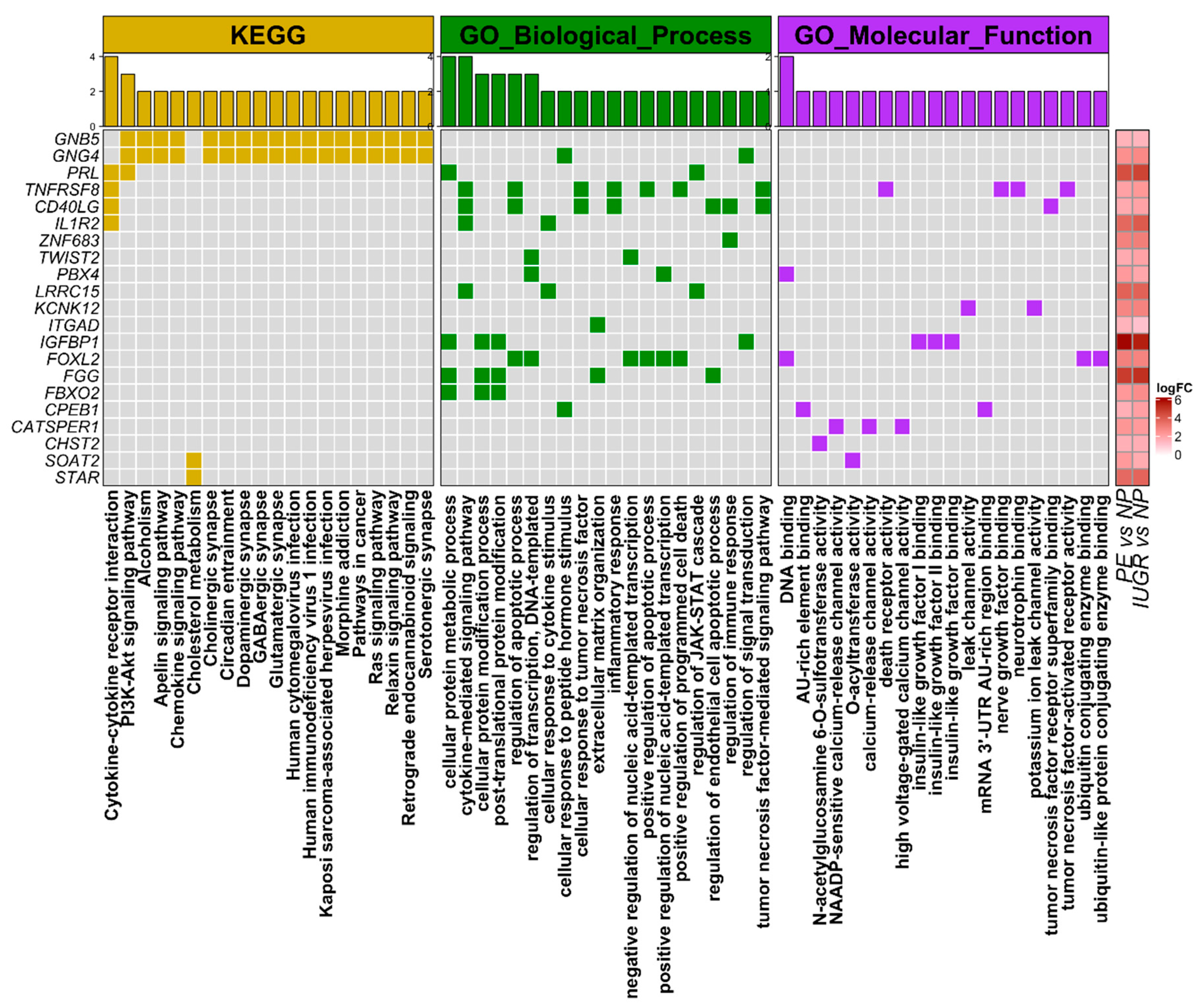 Ijms 21 03597 g003 Ijms 21 03597 g003