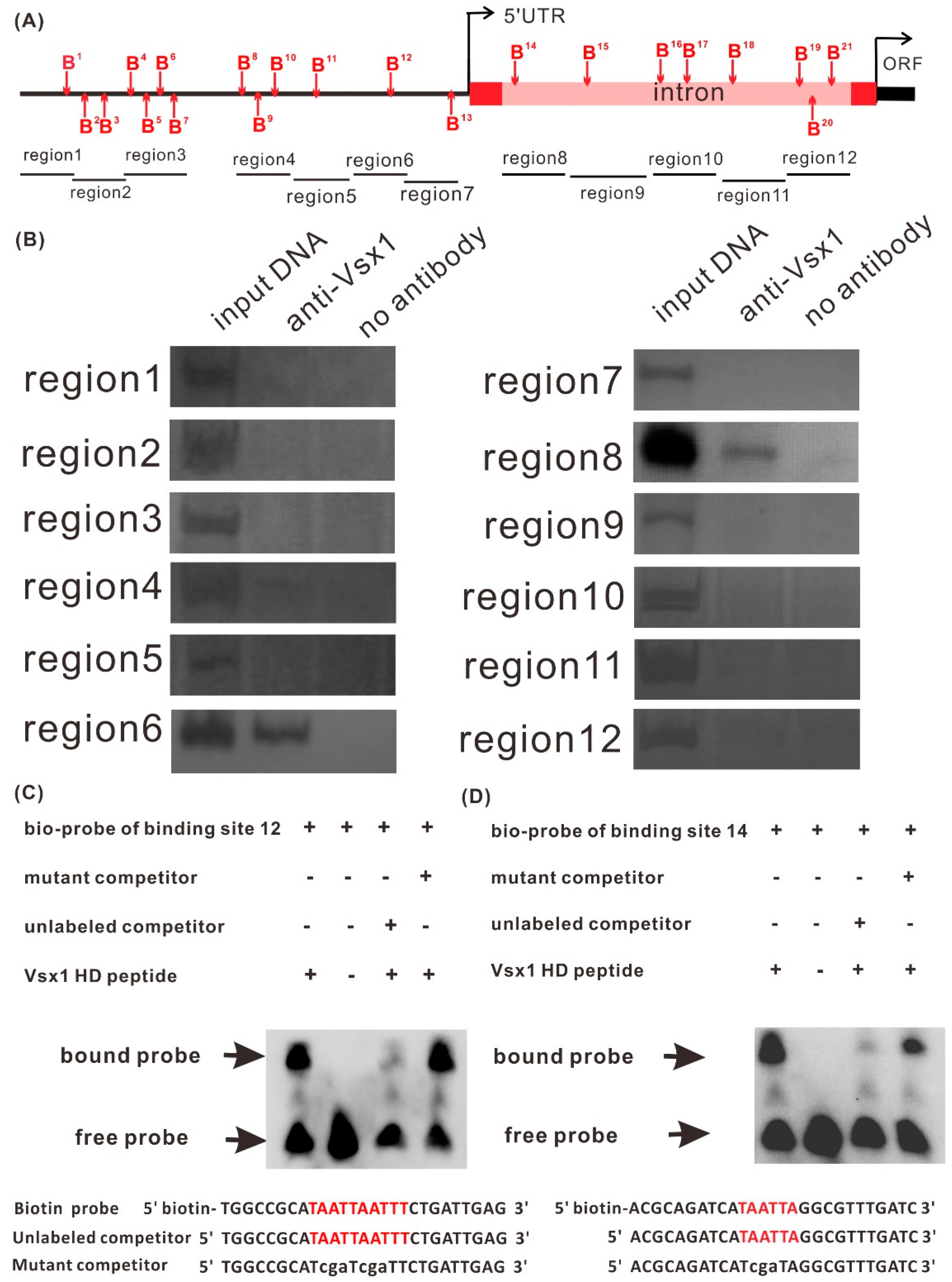 Ijms 21 03600 g004 Ijms 21 03600 g004