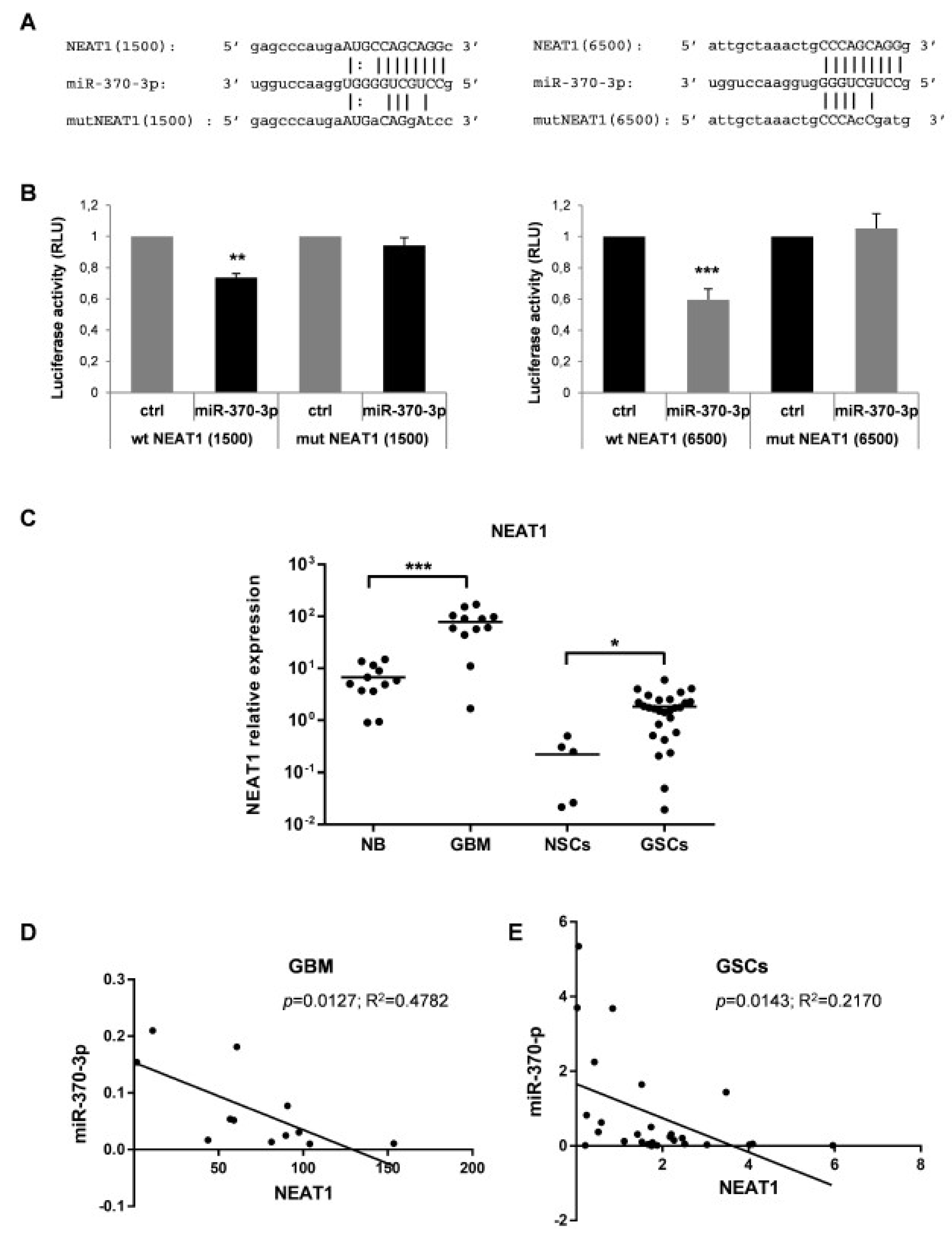Ijms 21 03610 g004 Ijms 21 03610 g004