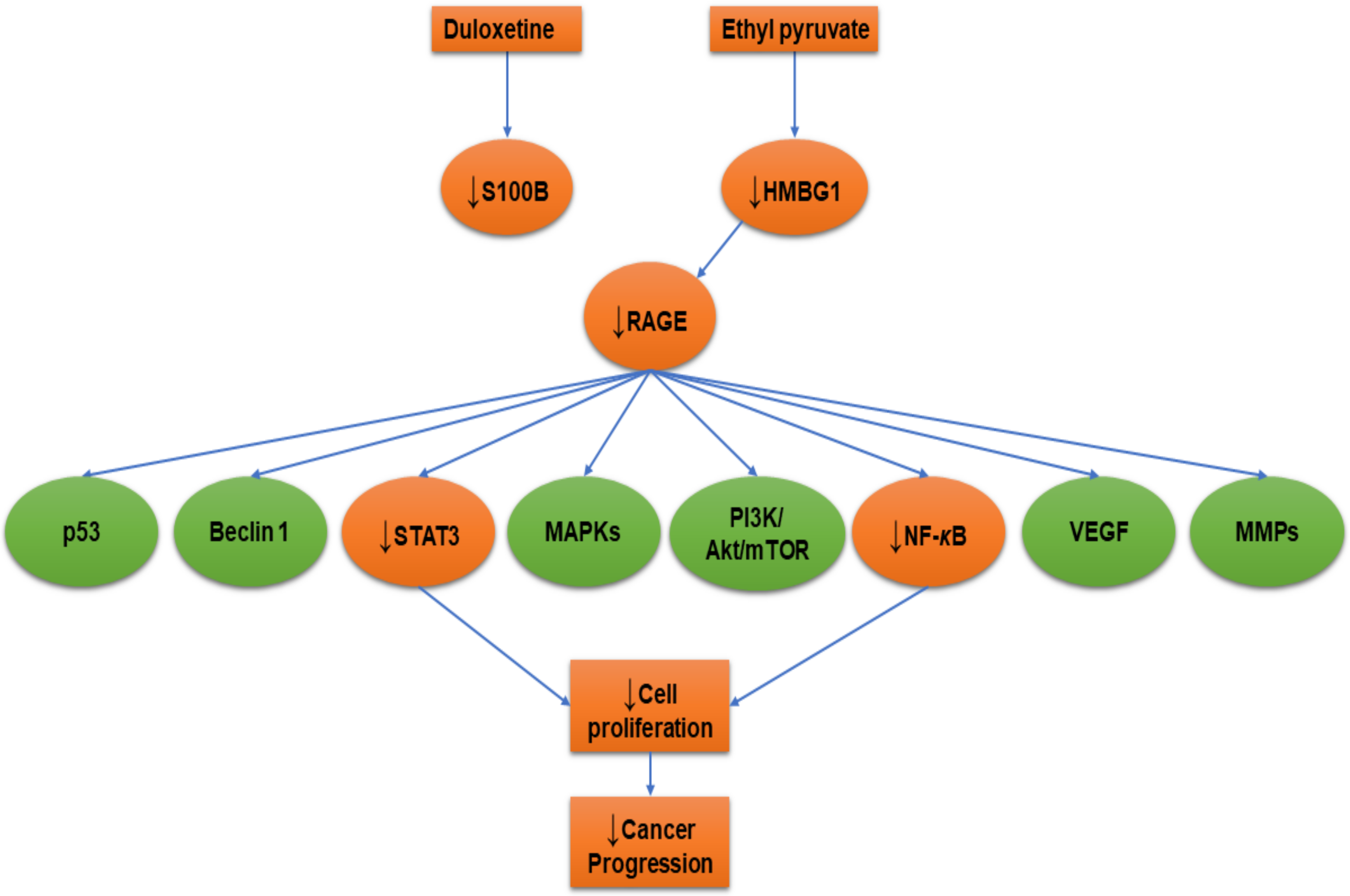 Ijms 21 03613 g002