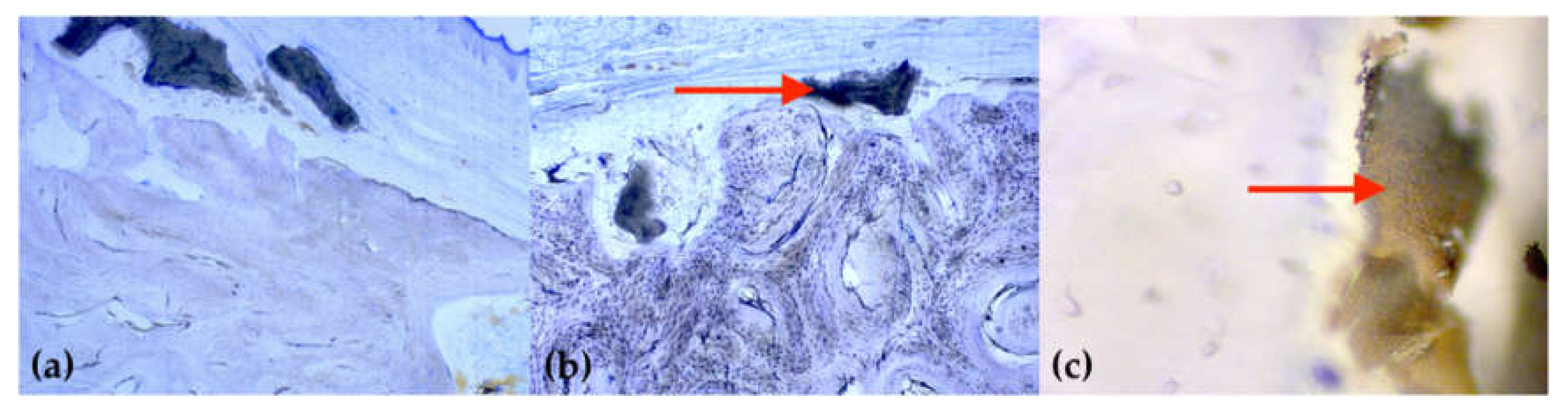 Ijms 21 03616 g005 Ijms 21 03616 g005