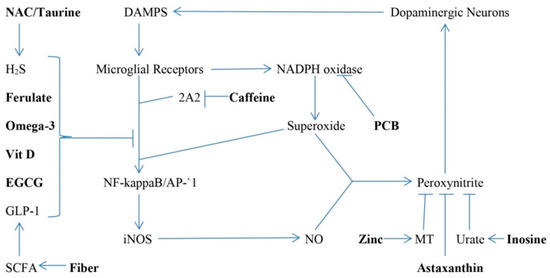 Nutraceuticals Targeting Generation and Oxidant Activity of
