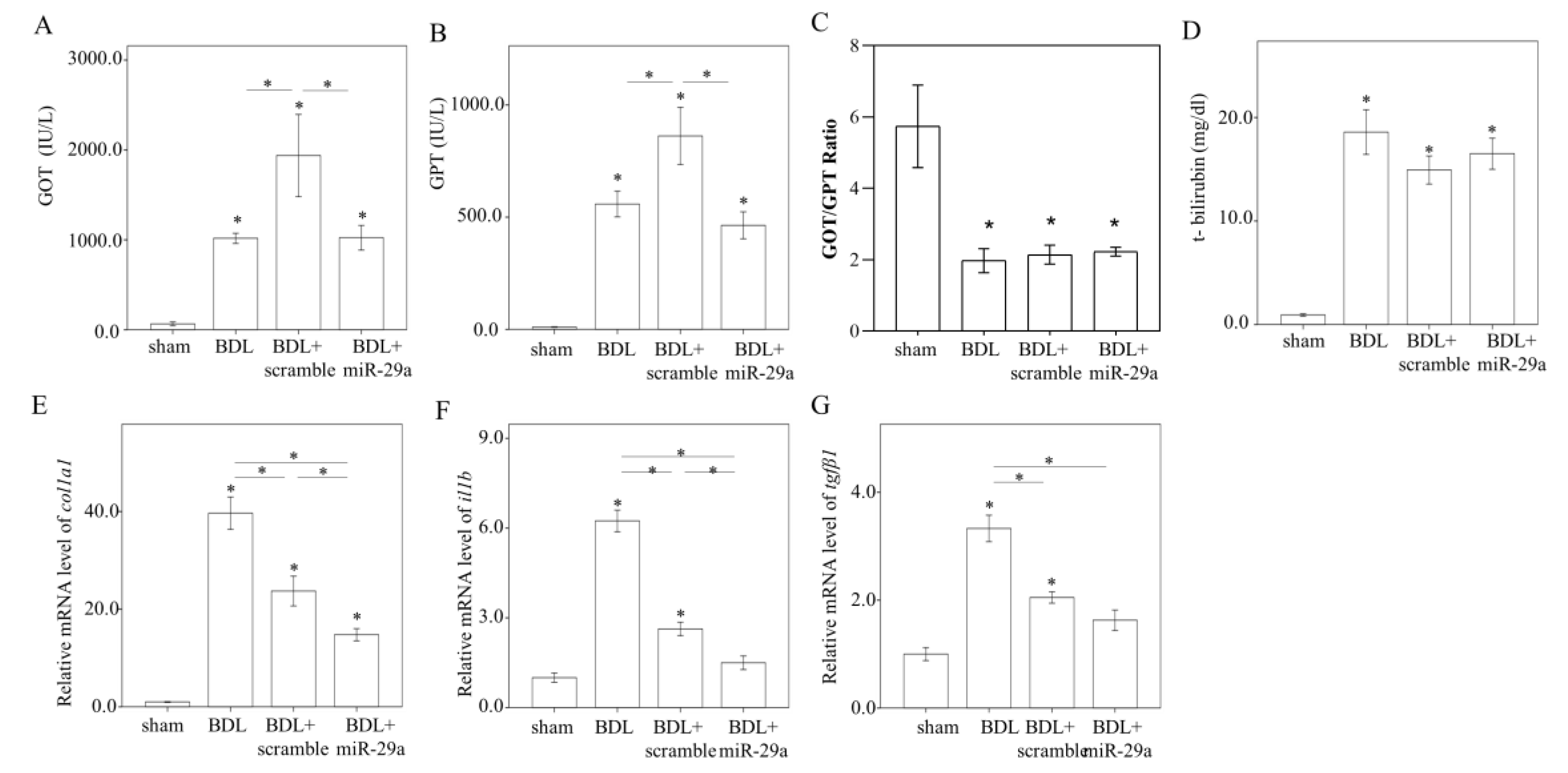 Ijms 21 03636 g002 Ijms 21 03636 g002
