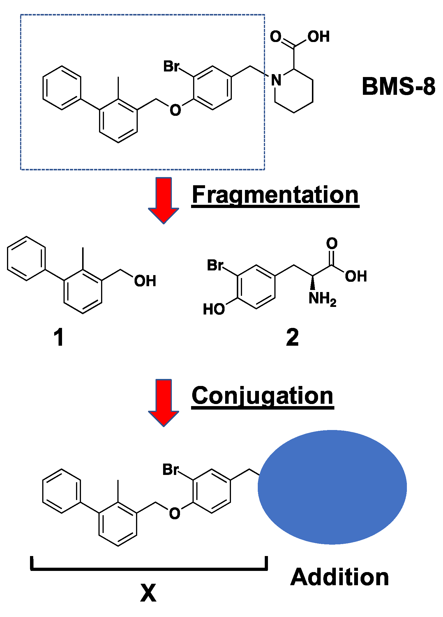 Ijms 21 03639 g001 Ijms 21 03639 g001