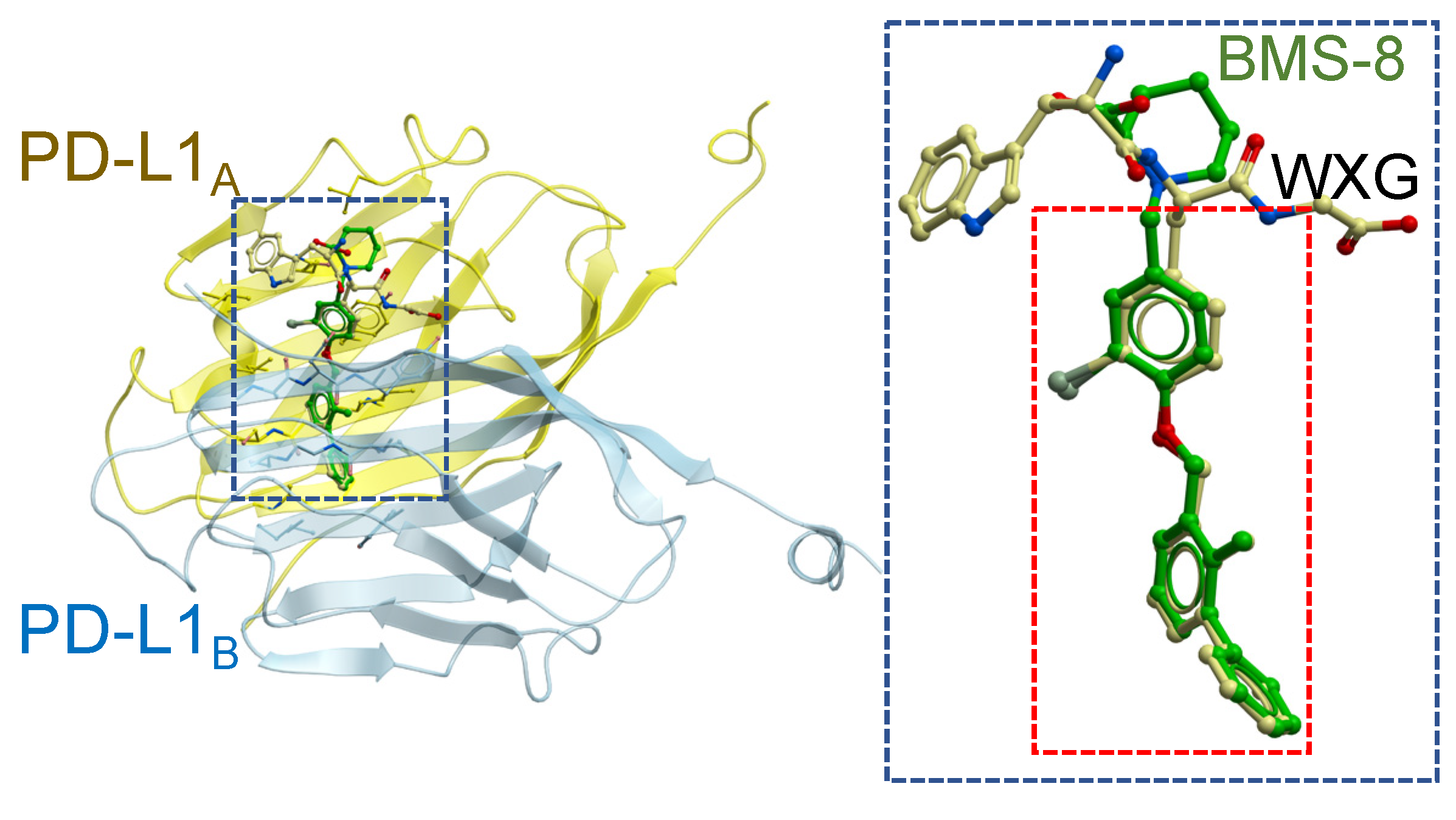Ijms 21 03639 g005 Ijms 21 03639 g005