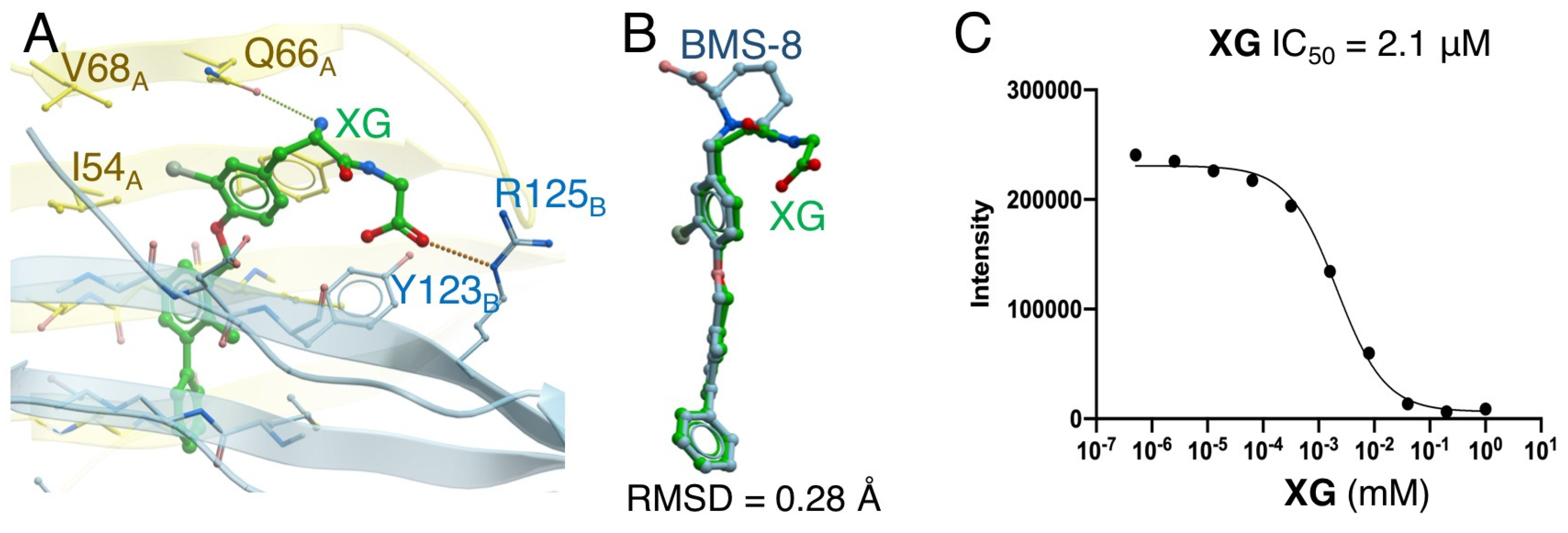 Ijms 21 03639 g007 Ijms 21 03639 g007