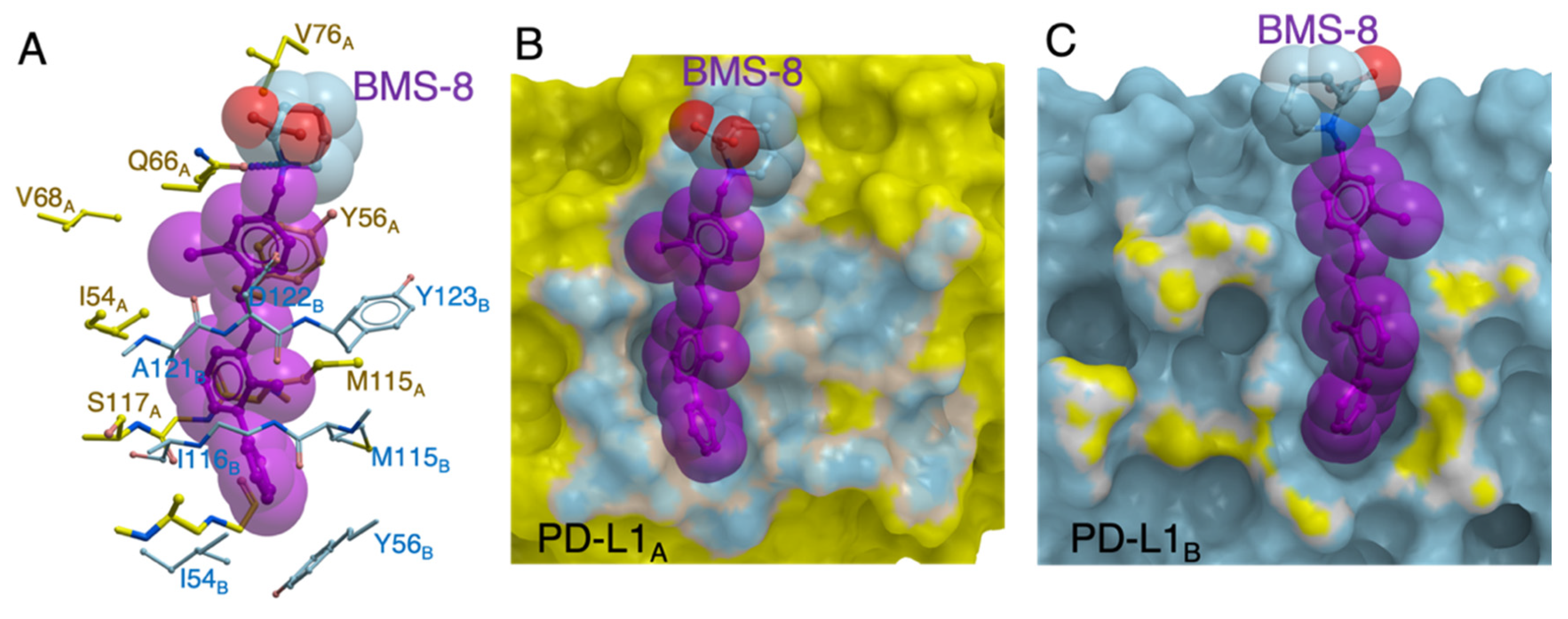 Ijms 21 03639 g009 Ijms 21 03639 g009