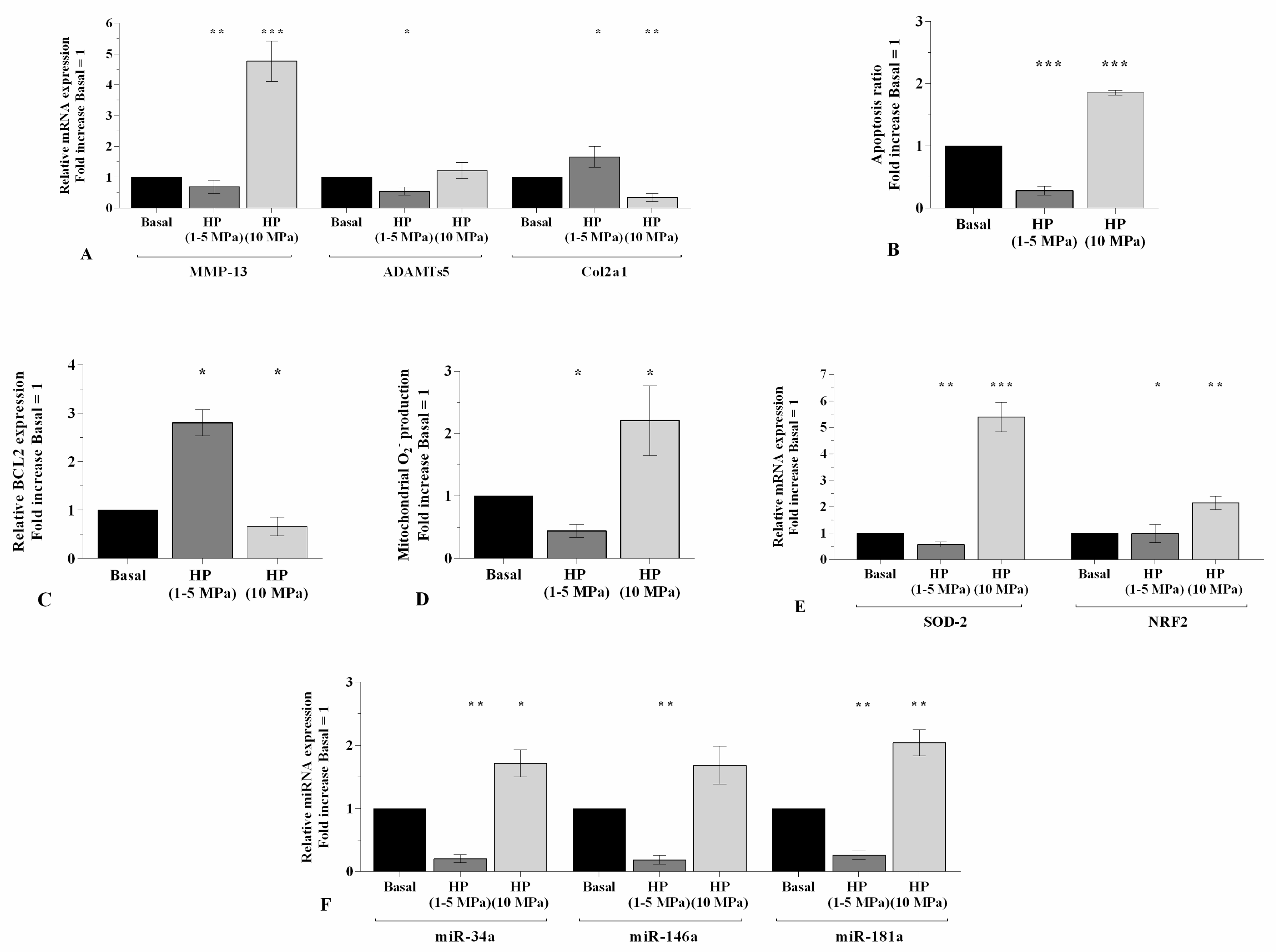 Ijms 21 03653 g001 Ijms 21 03653 g001