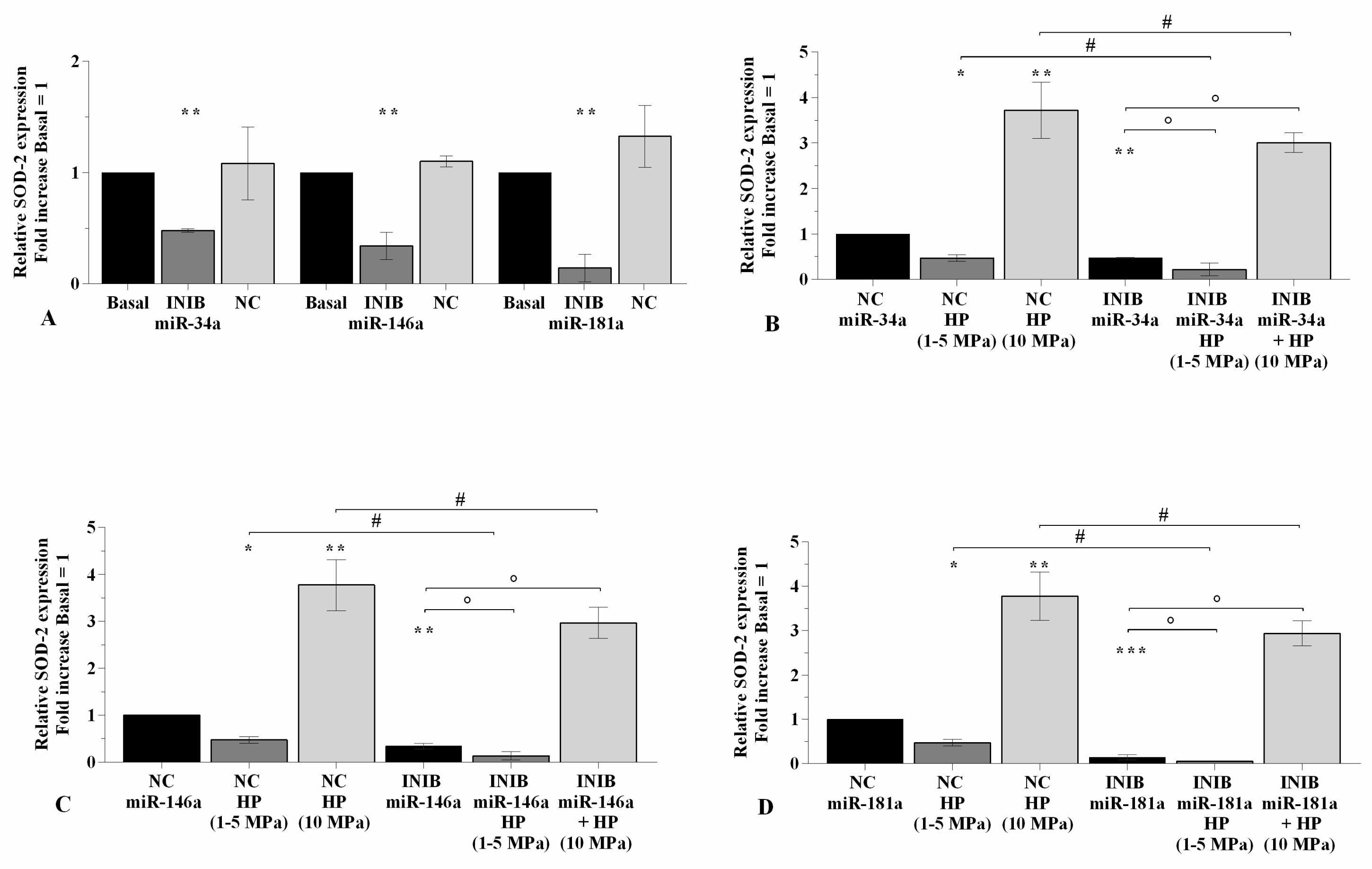 Ijms 21 03653 g007 Ijms 21 03653 g007
