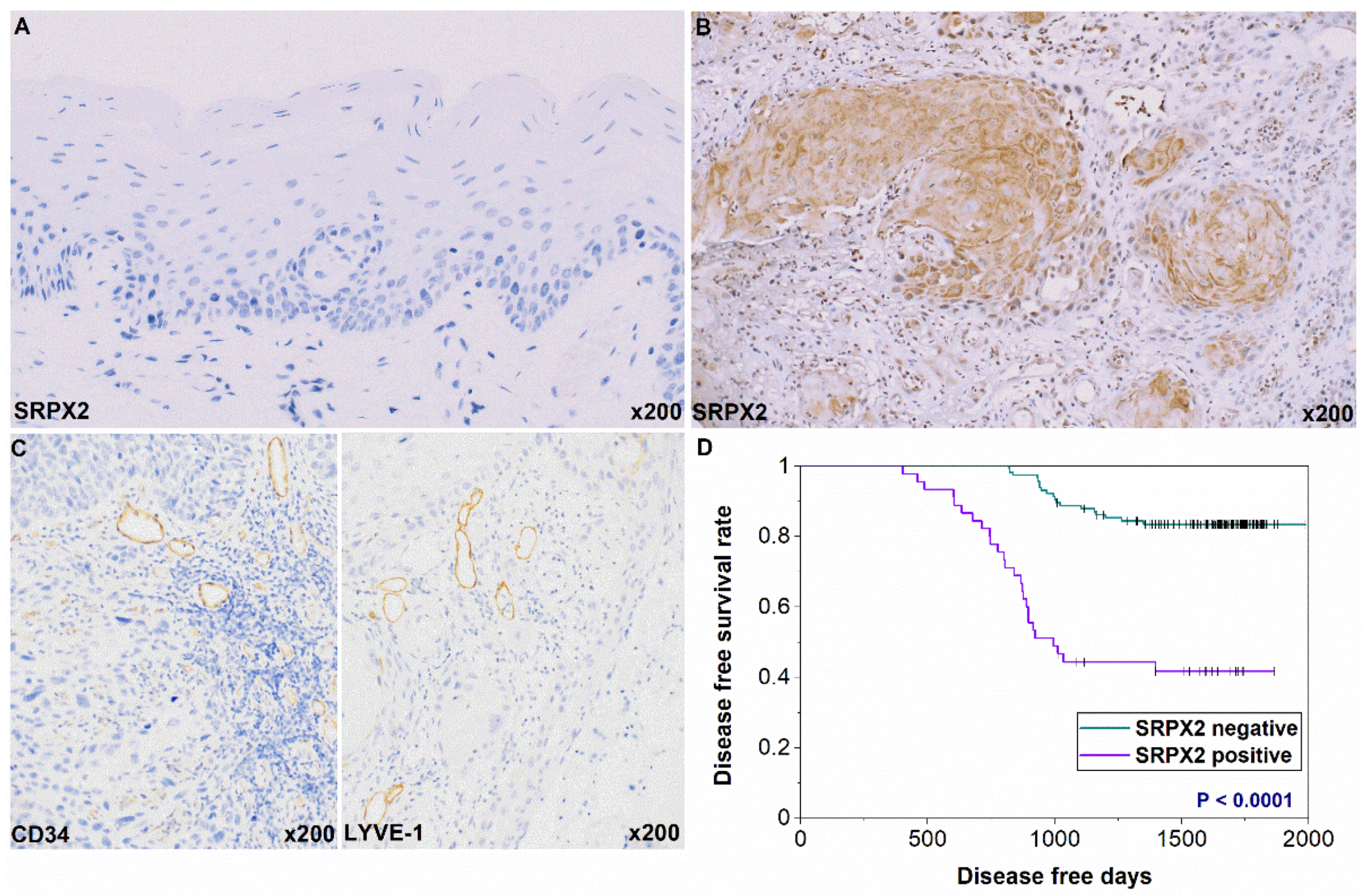 Ijms 21 03655 g002 Ijms 21 03655 g002